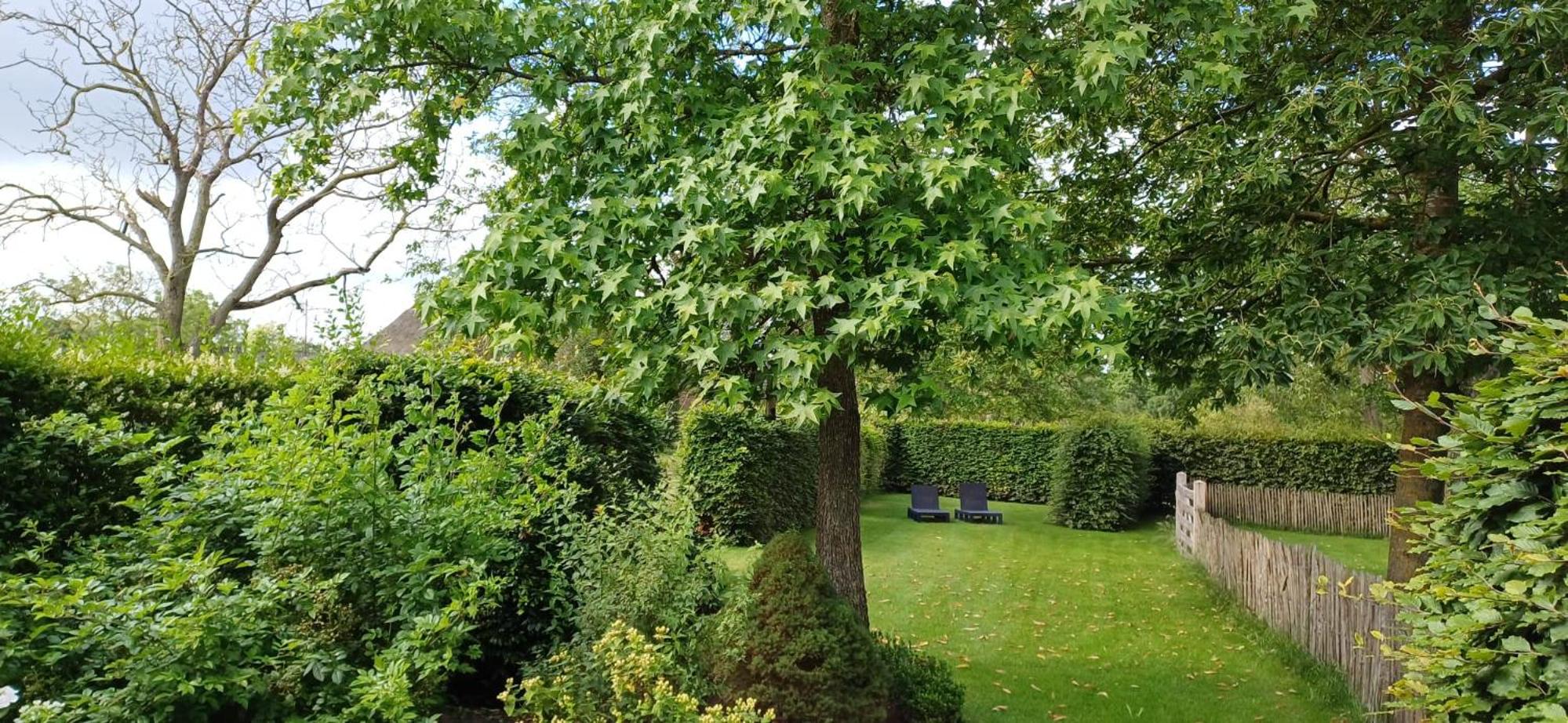 Bed & Breakfast Appenseweg