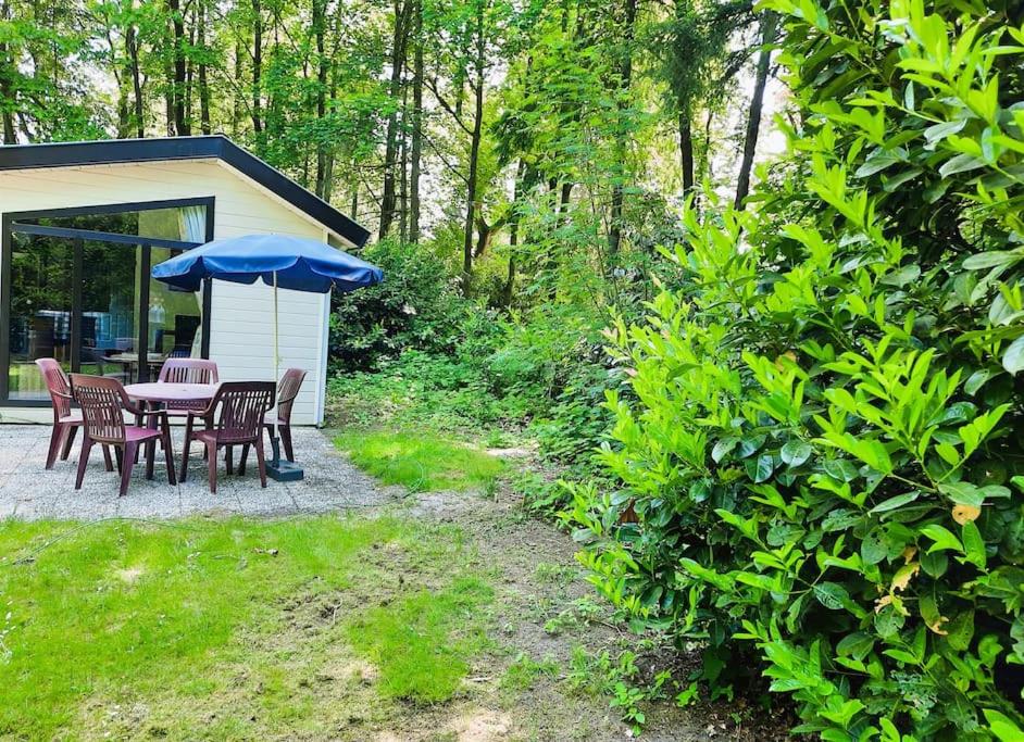 Veluwe Flow I genieten nabij bos