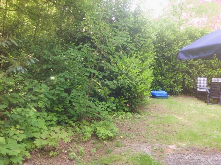 Veluwe Flow I genieten nabij bos