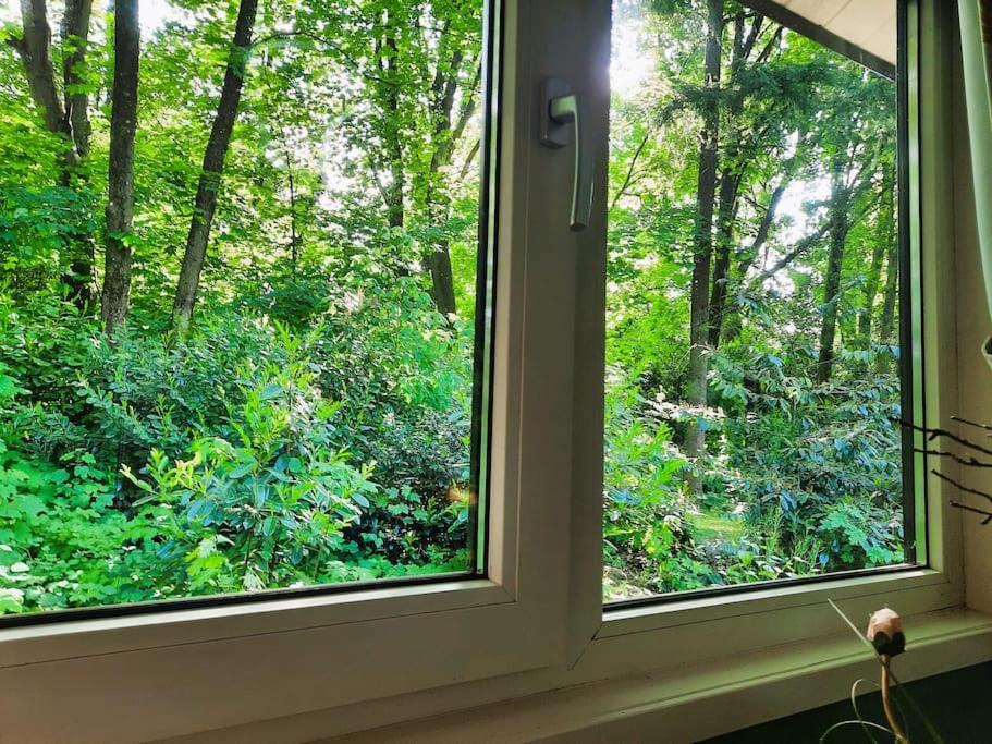 Veluwe Flow I genieten nabij bos