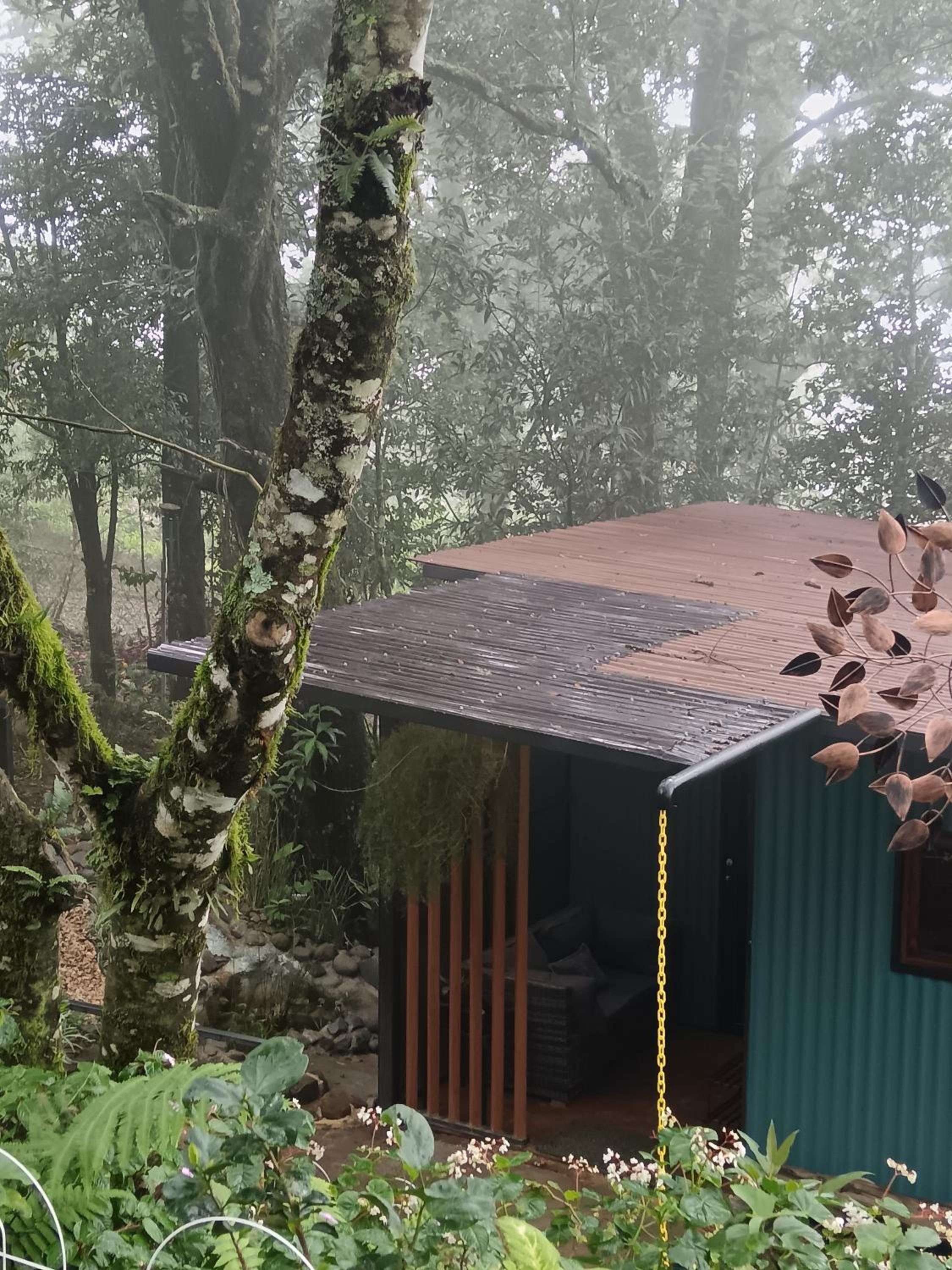 La Casita Verde