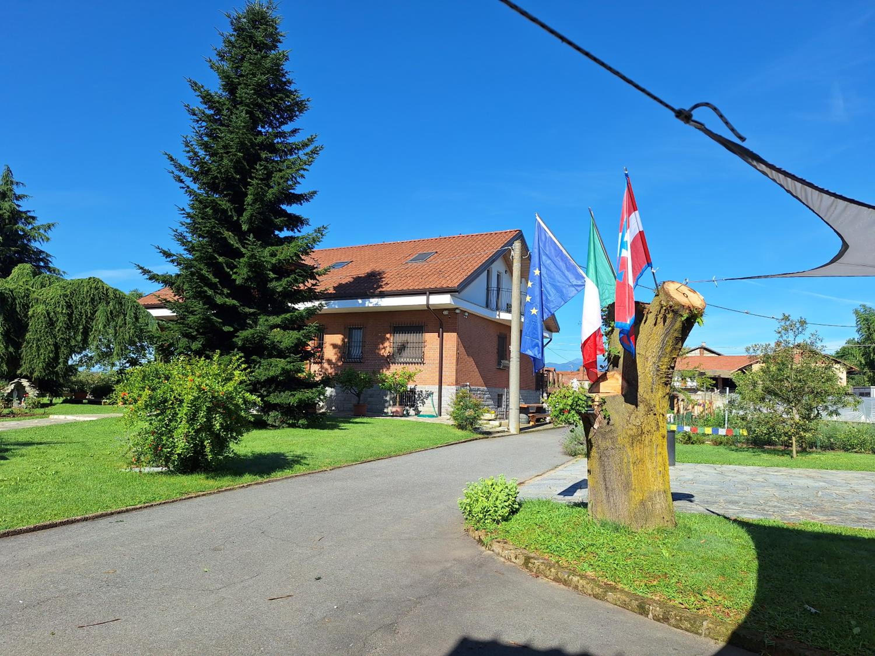 Photo 6