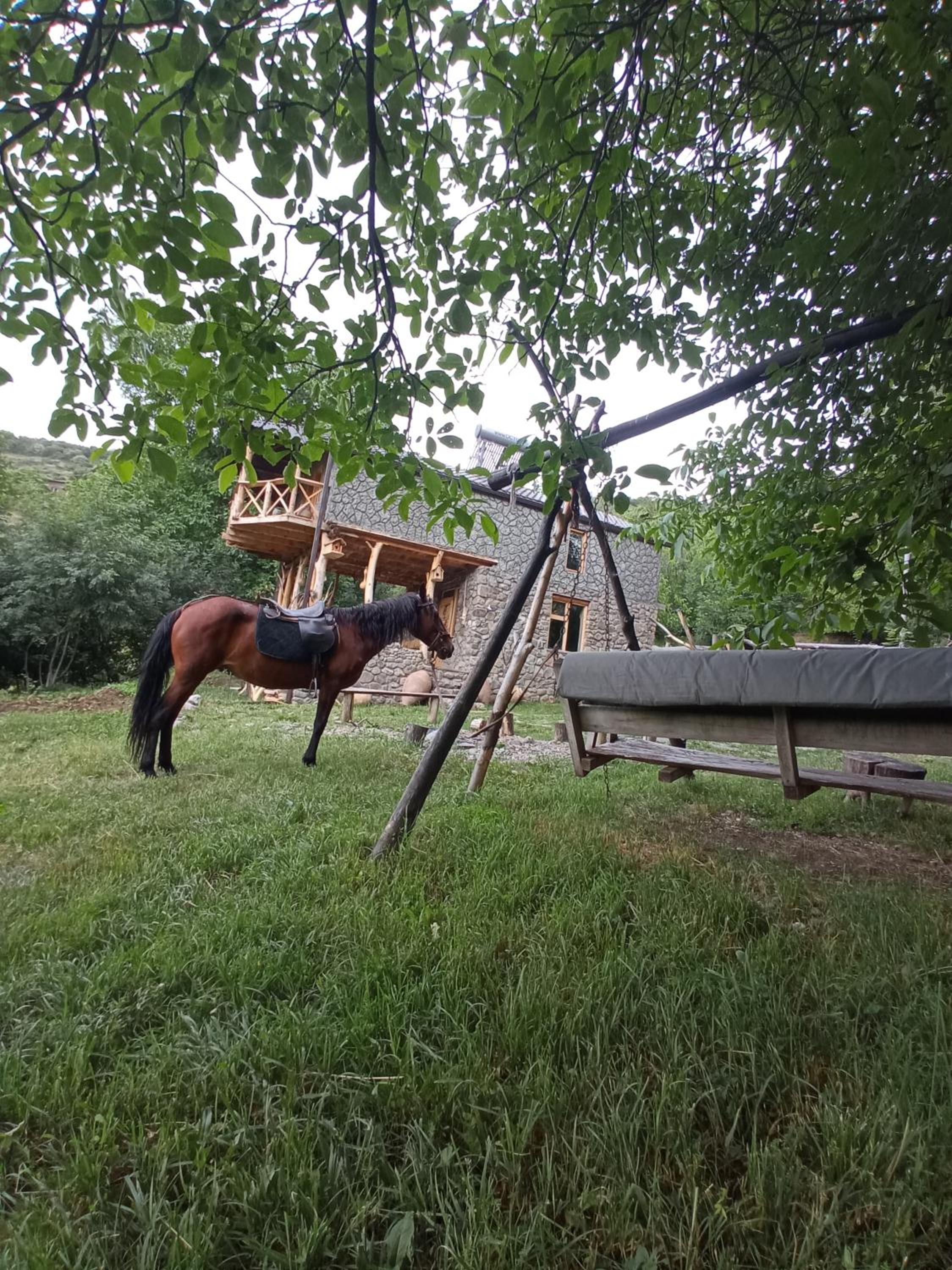 Hors's Home