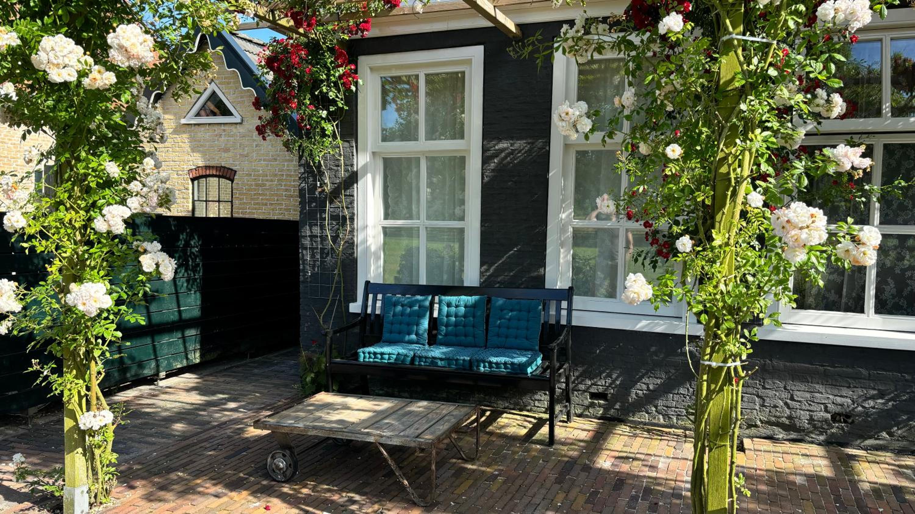 Photo 19