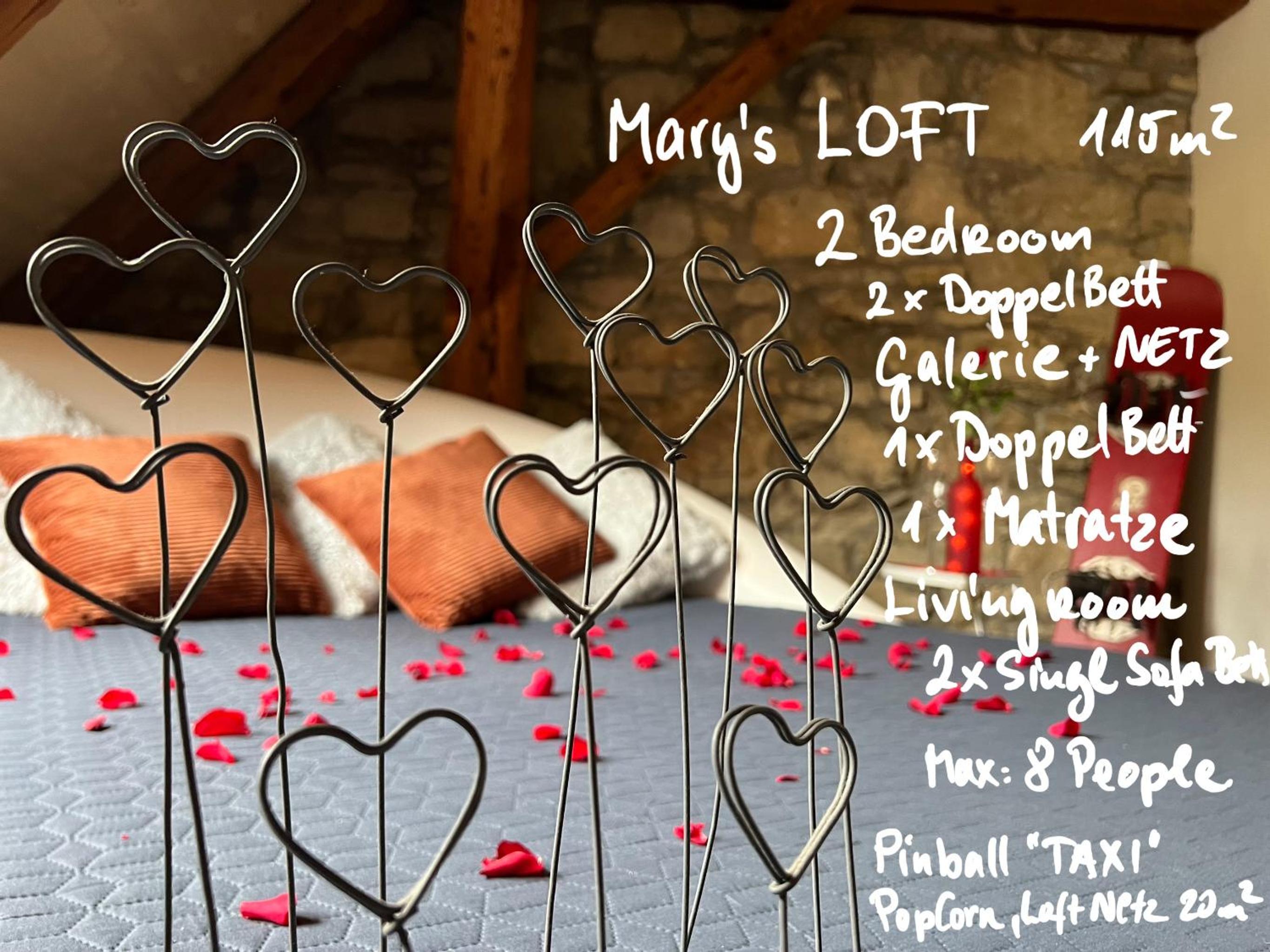 MARYS family friendly Apartments,VISIT RHINE FALLS for FREE if you stay 2 nights, SOHO 95m2 2-Bedrooms 2nd floor & SOUTH BEACH 105m2 3-Bedrooms & LOFT 115m