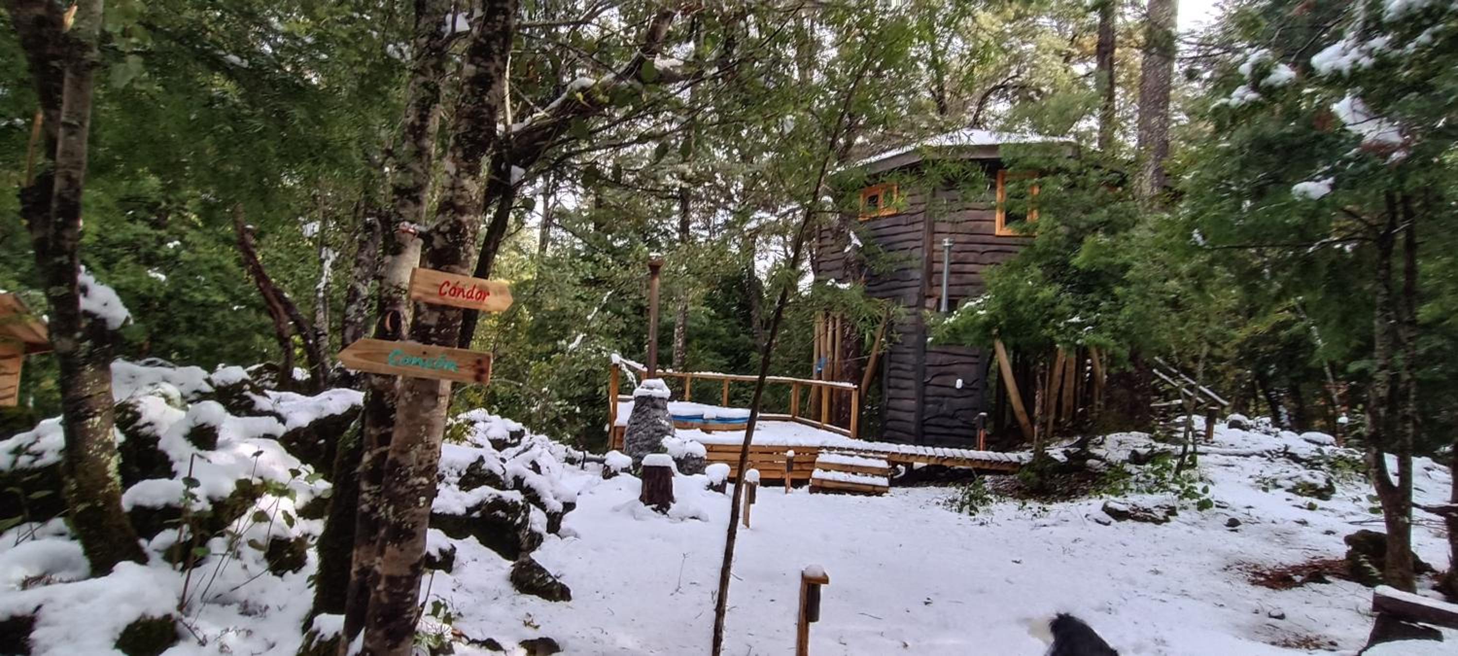 Cabañita del Árbol Cóndor