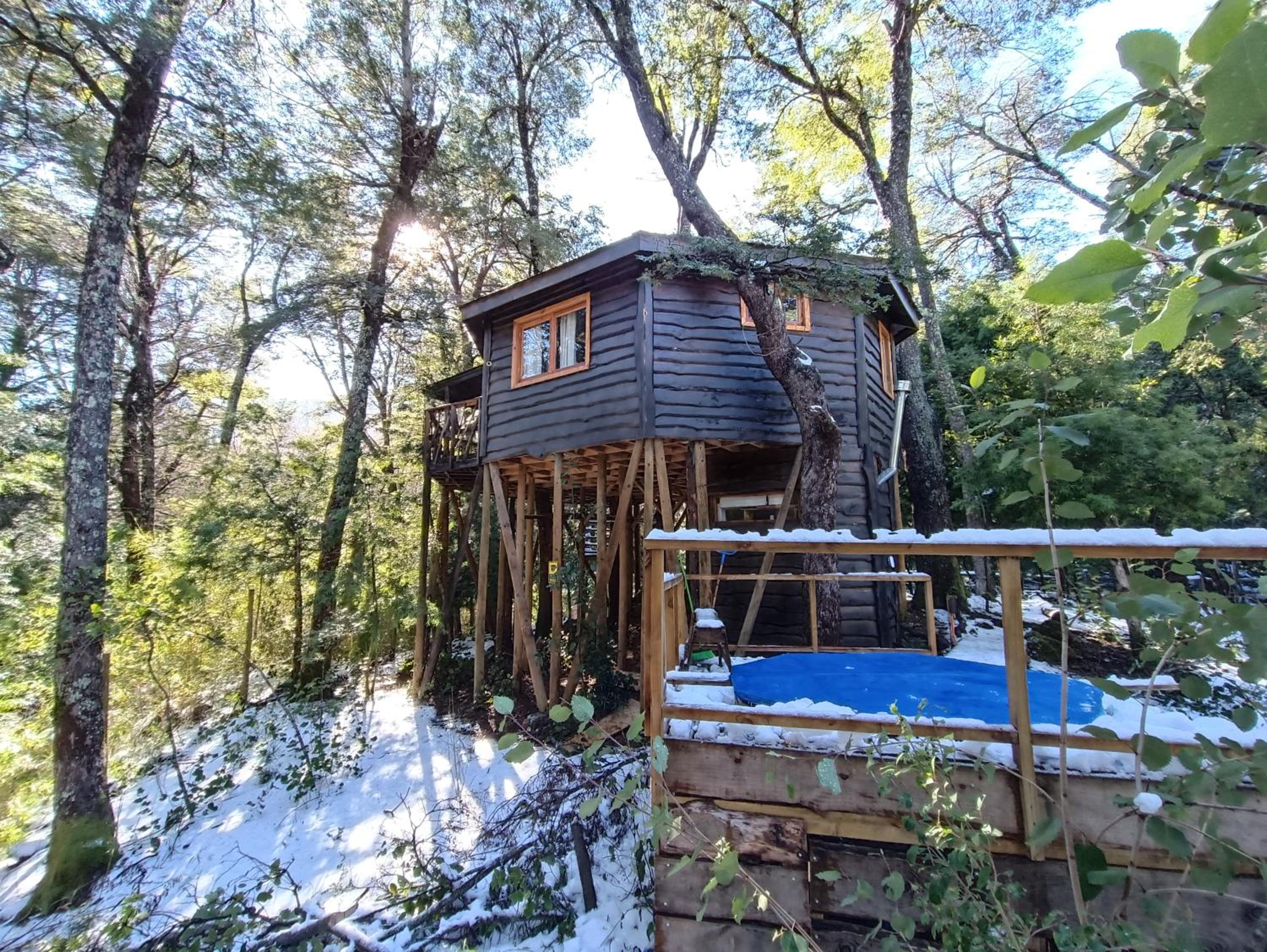 Cabañita del Árbol Cóndor