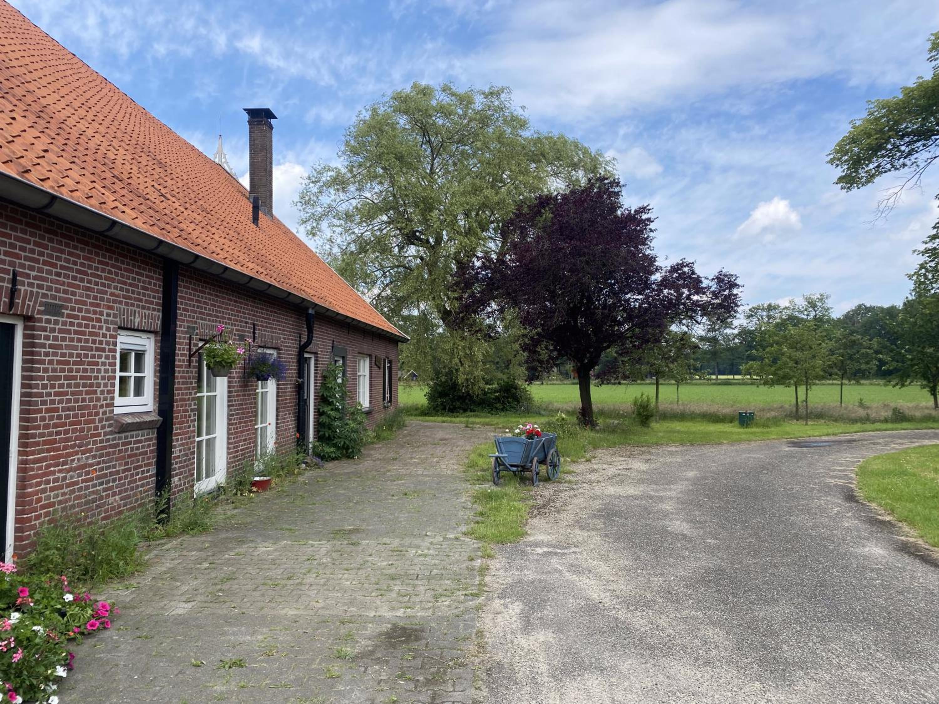 Vakantie Boerderij Oelewick view 4