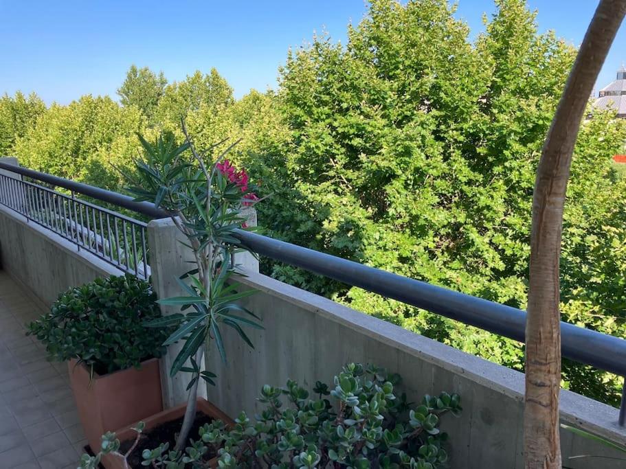 Solaria Suite appartamento view 4