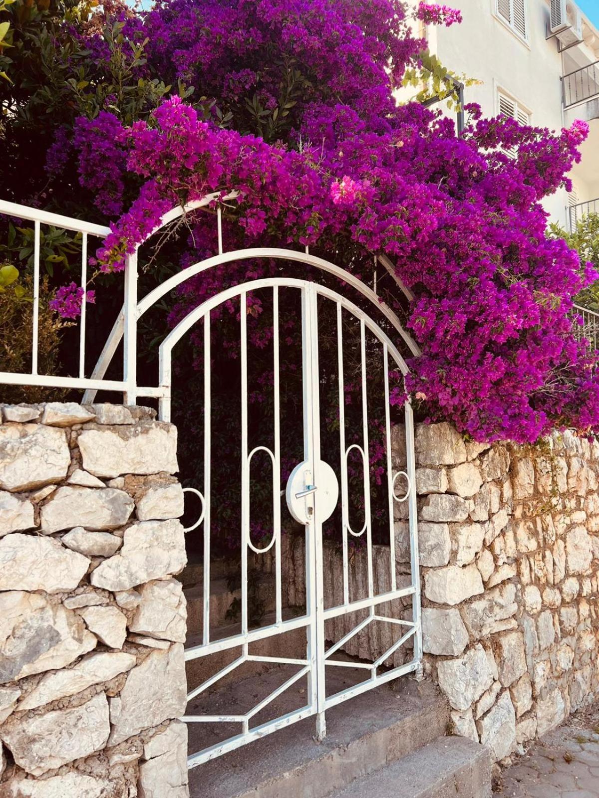 Villa Porto