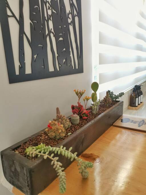 Brand New Home With Garden