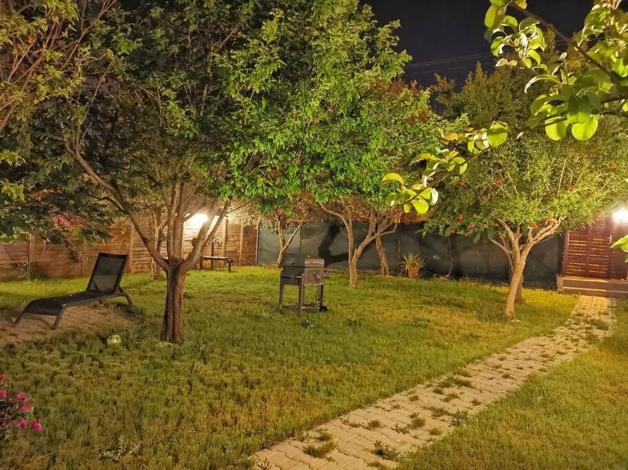 Brand New Home With Garden