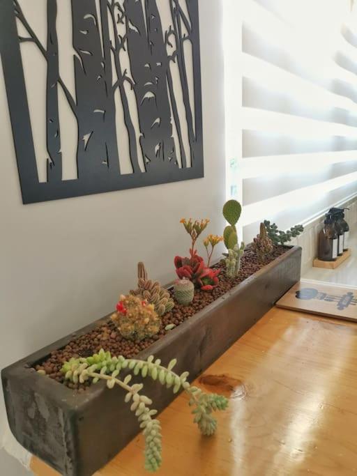 Brand New Home With Garden