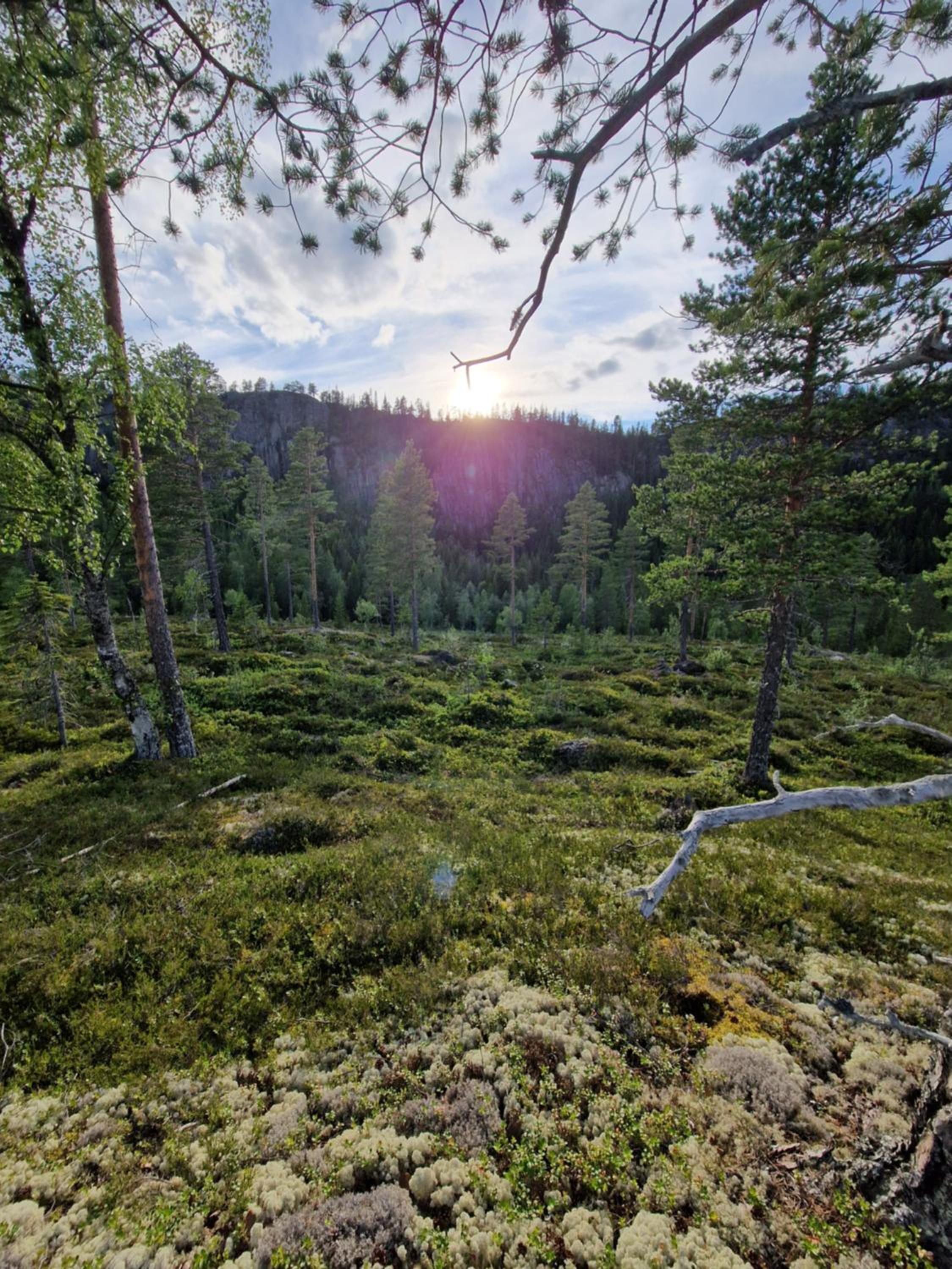 Hytte uten hyttenaboer view 4