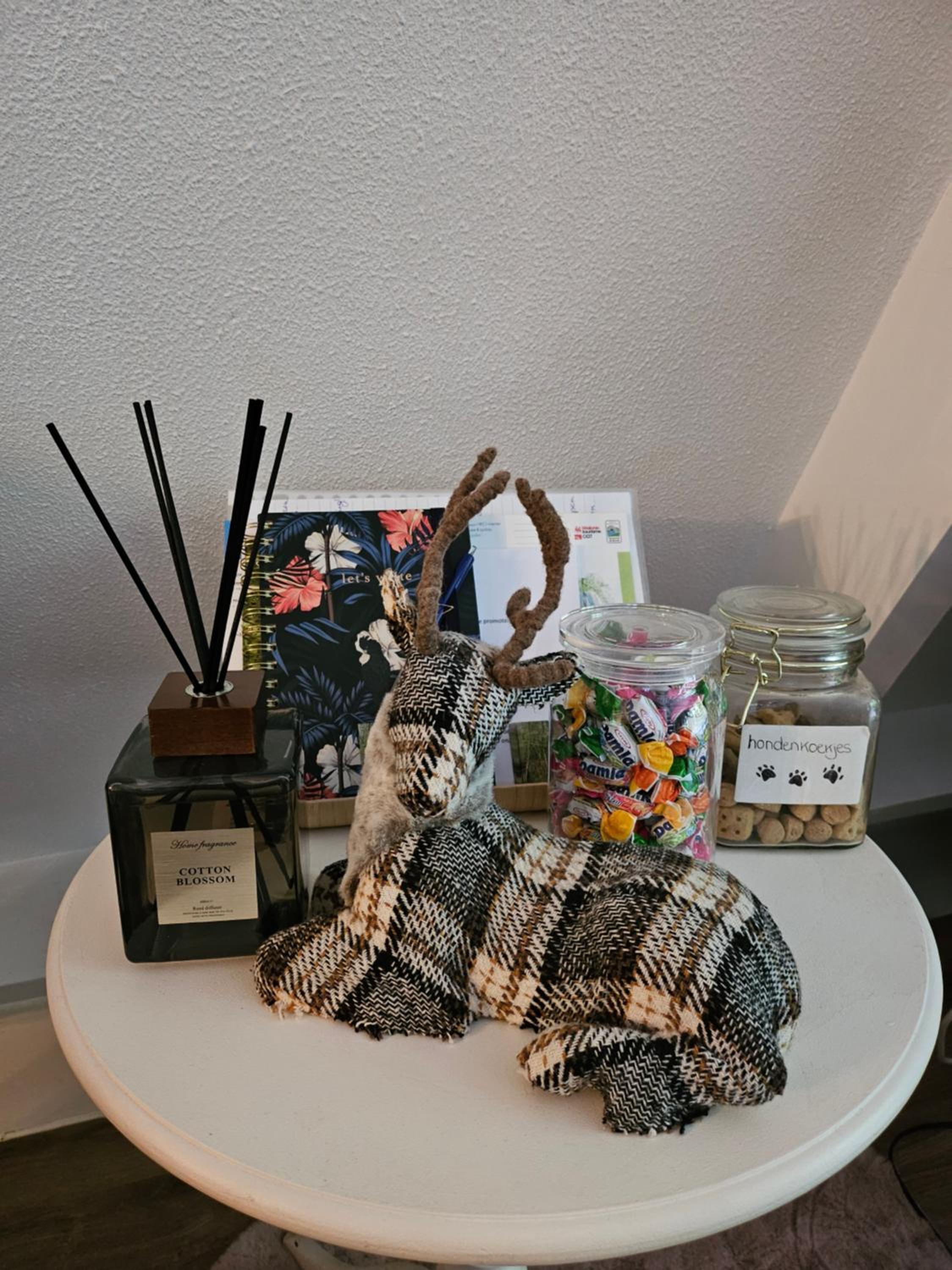 Photo 23