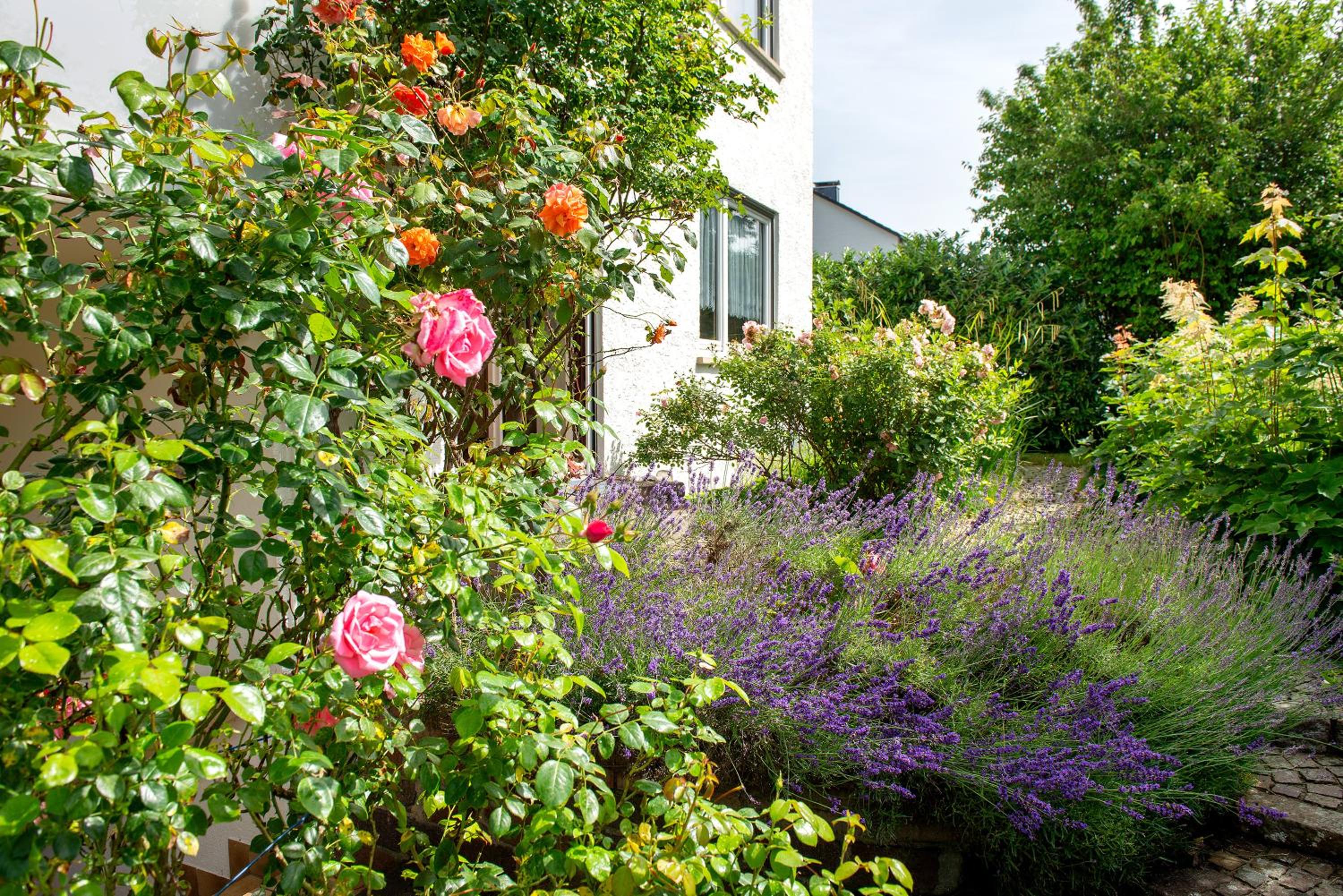 Ferienhaus Christine Bodensee Nord
