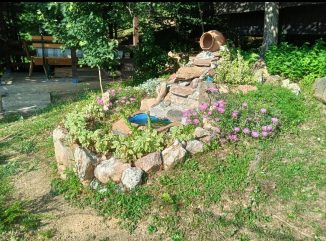 Photo 23
