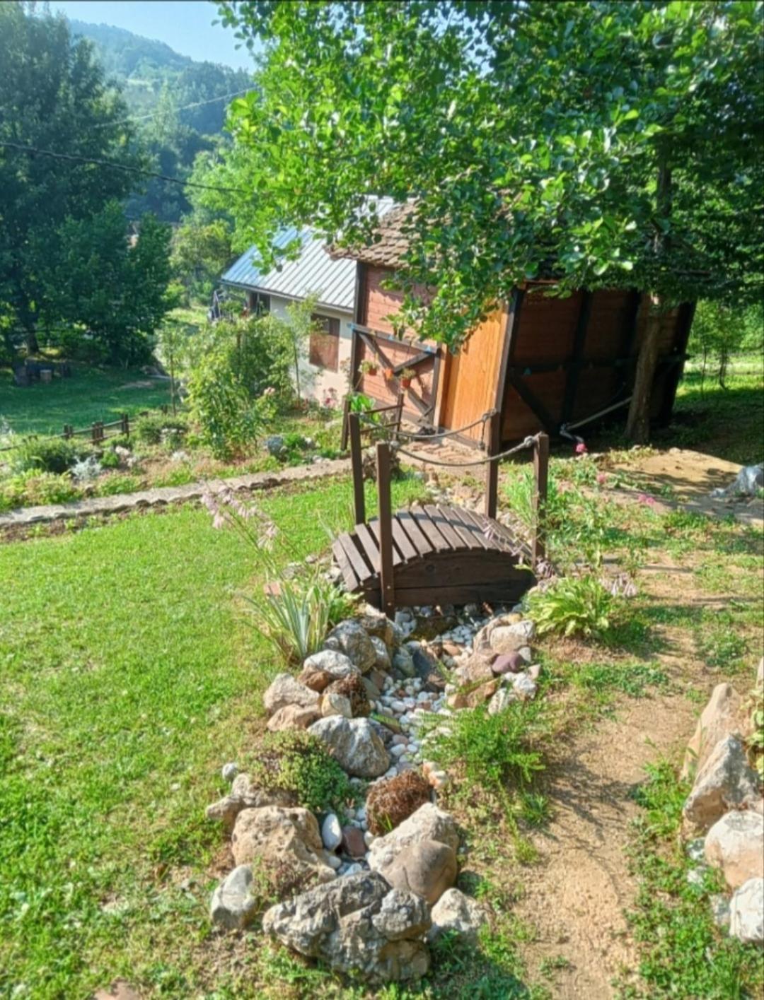 Photo 19