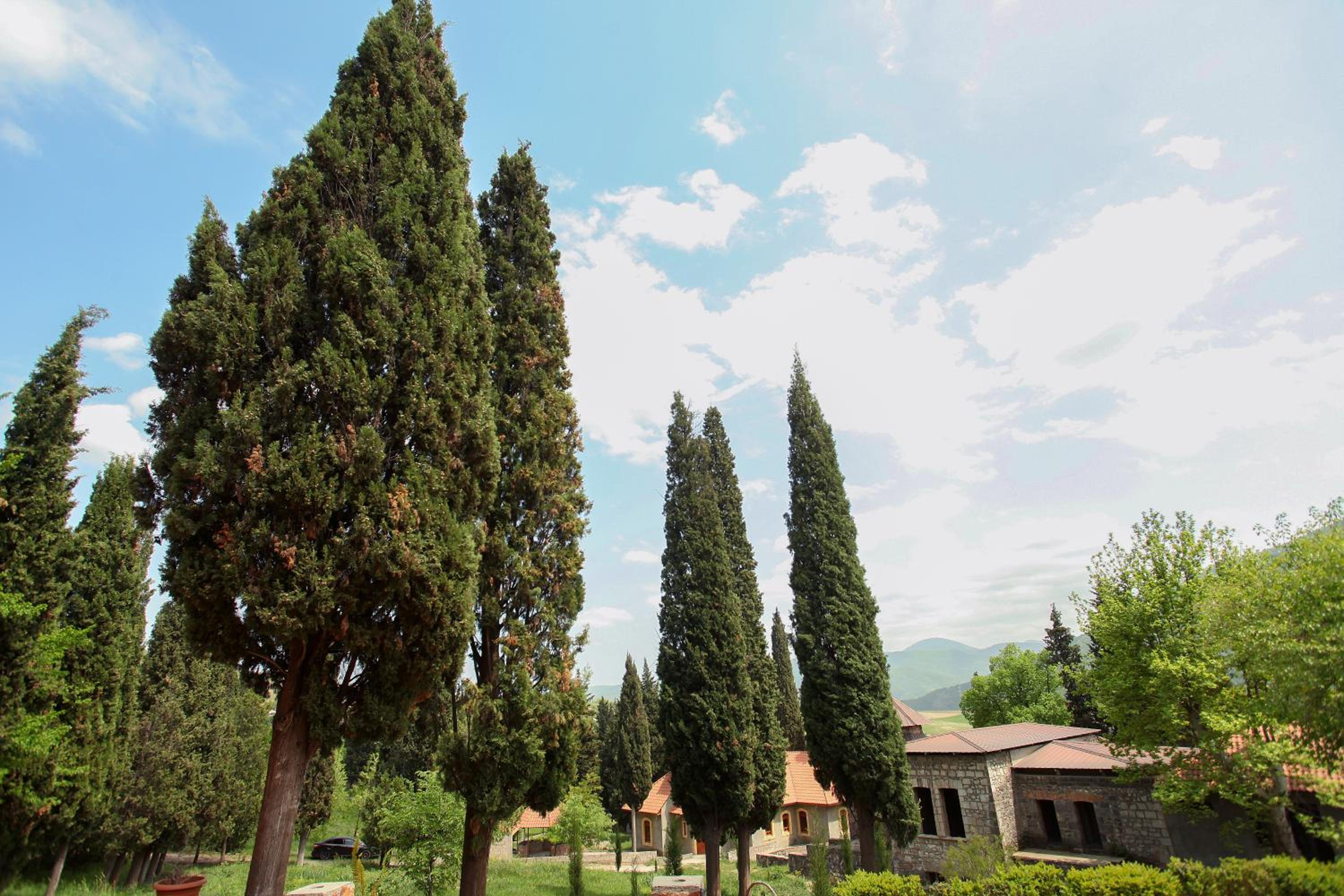 Aramyants Castle