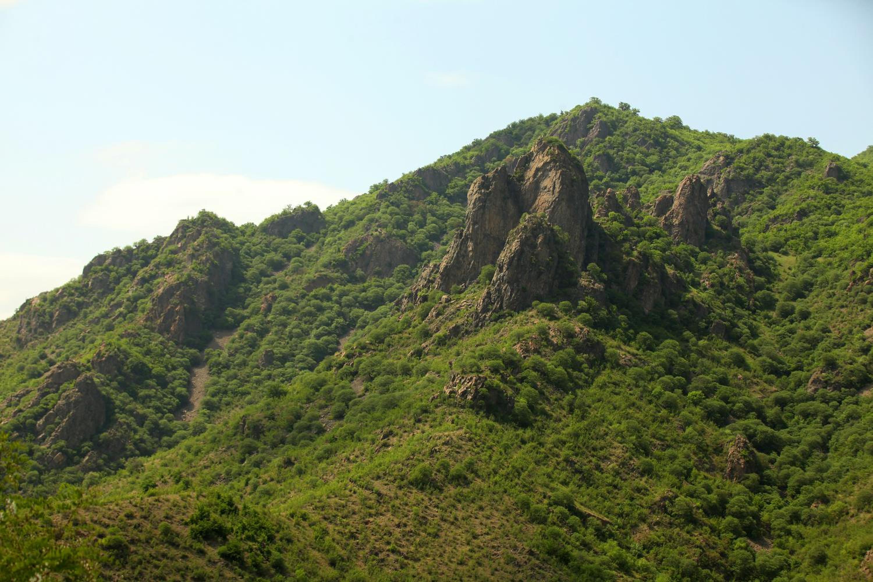 Aramyants Castle