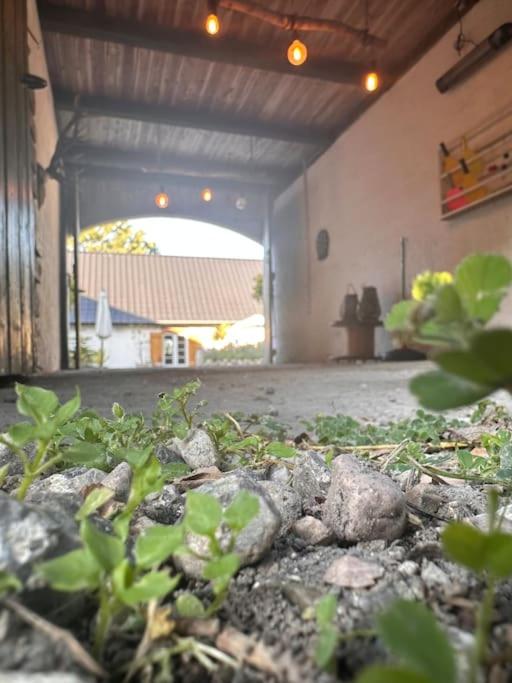 Charming rustic barn close to Tisvilde