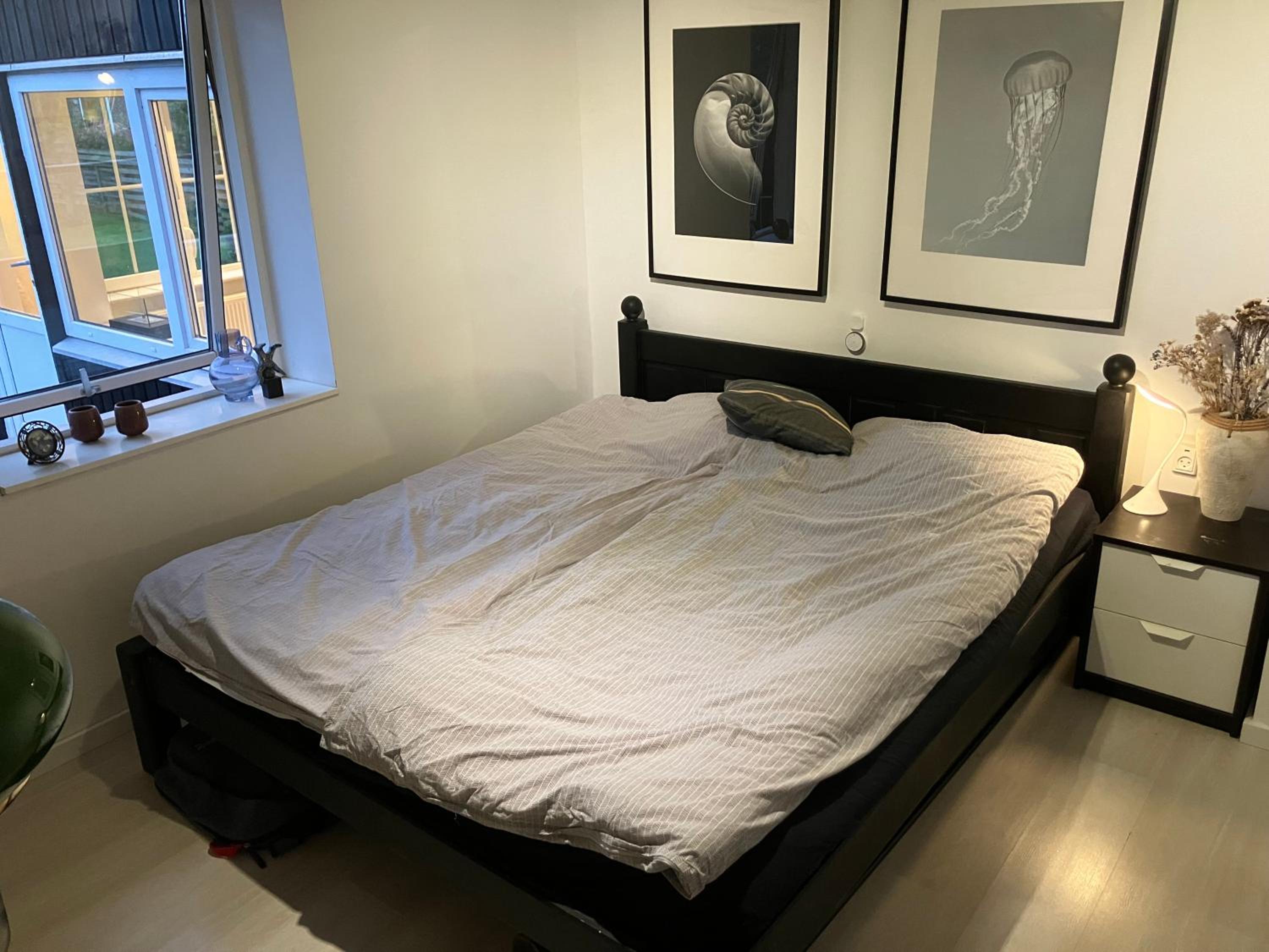 Friheden Løgstør