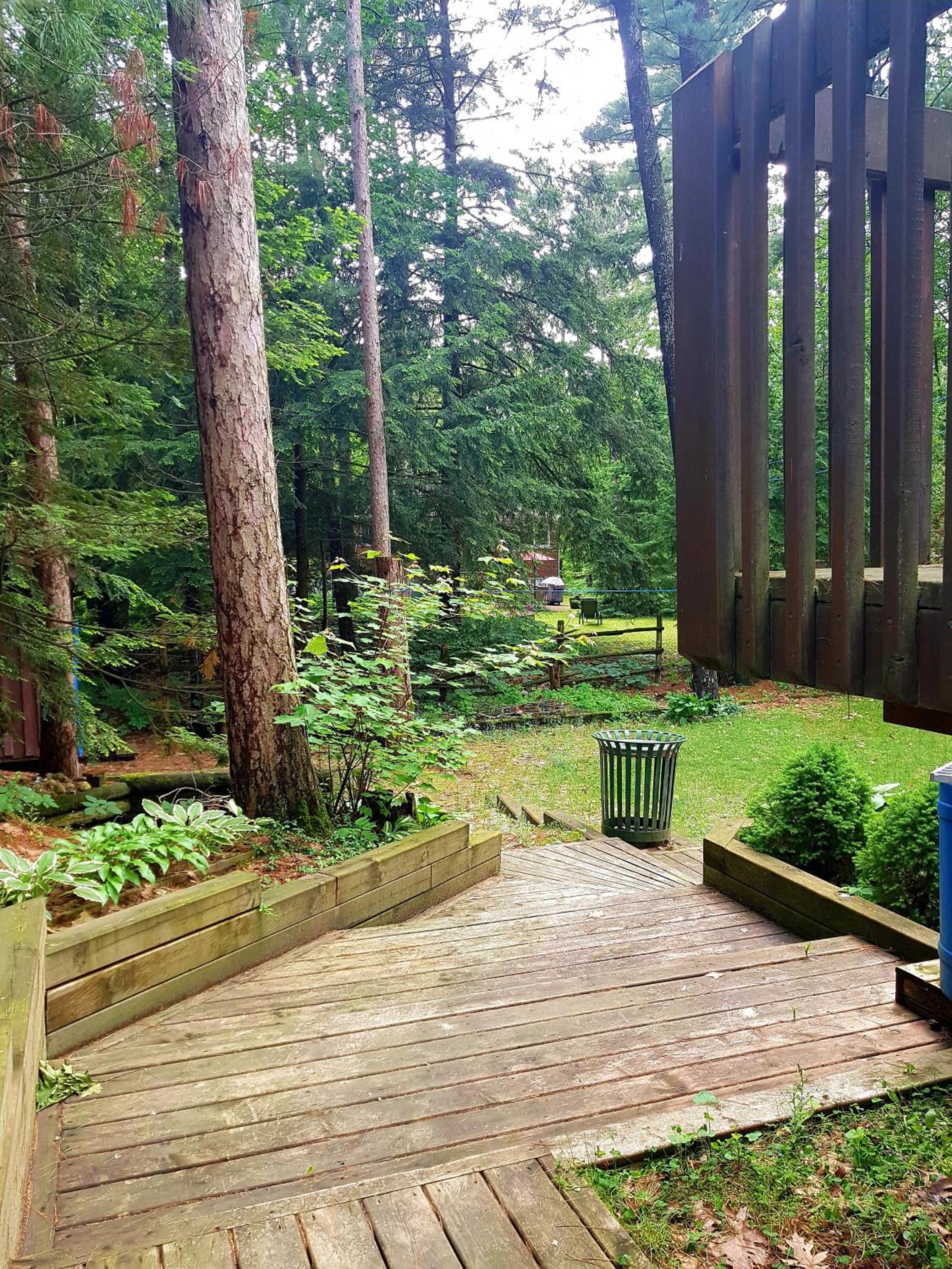 Cottage in the Pines