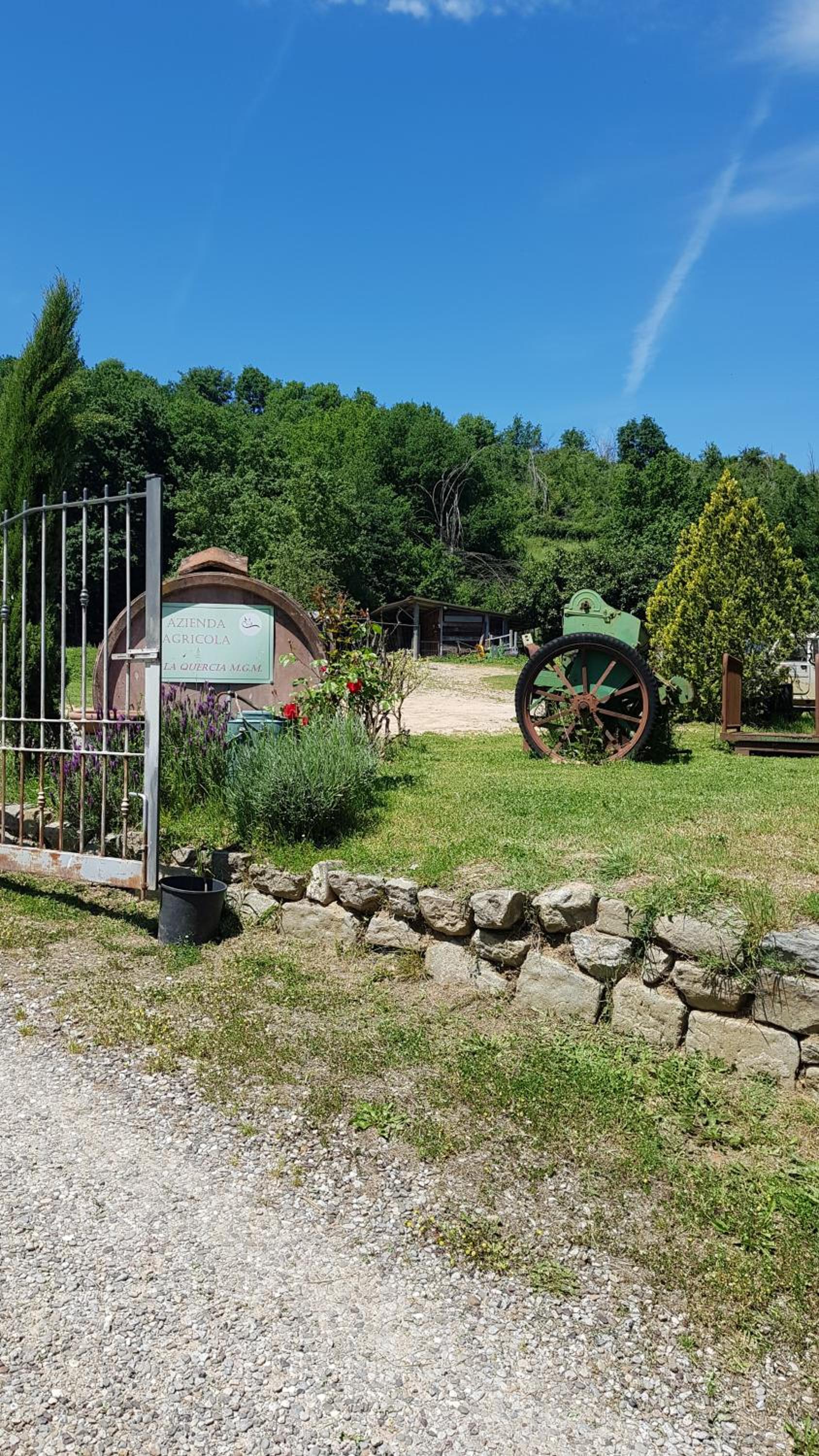 Casa il Gorellino view 4