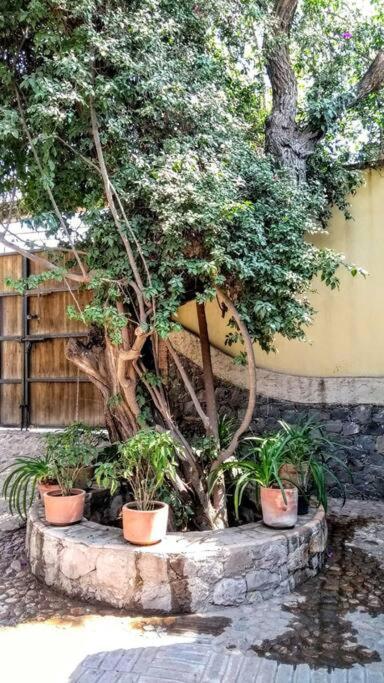 Casona Esther Alberca Privada