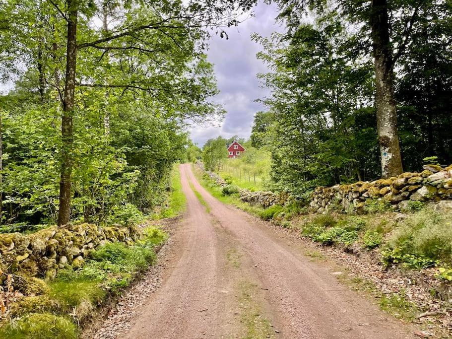 Boana farm