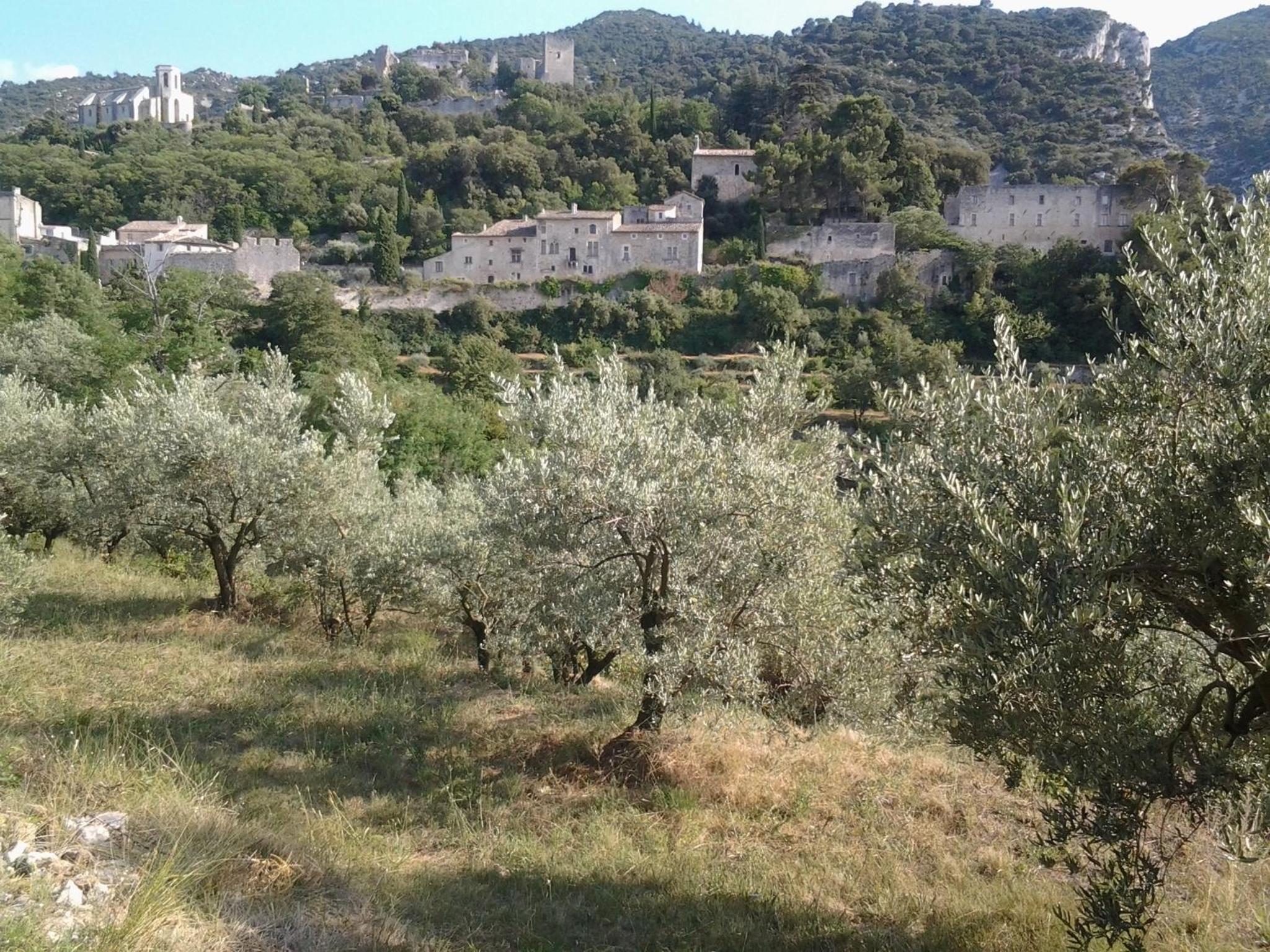 Photo 11