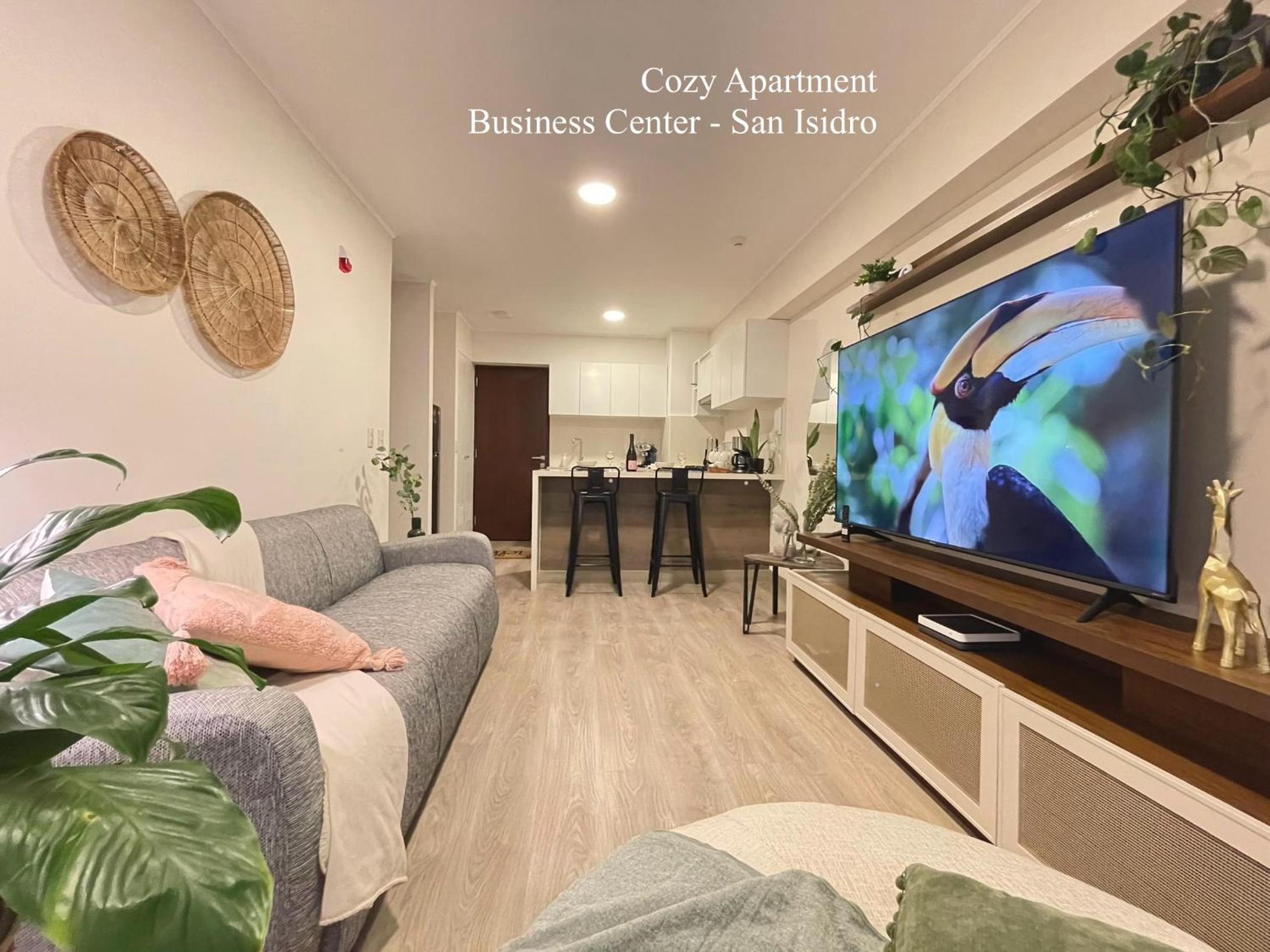 Cozy Apartment in Business Center San Isidro view 3
