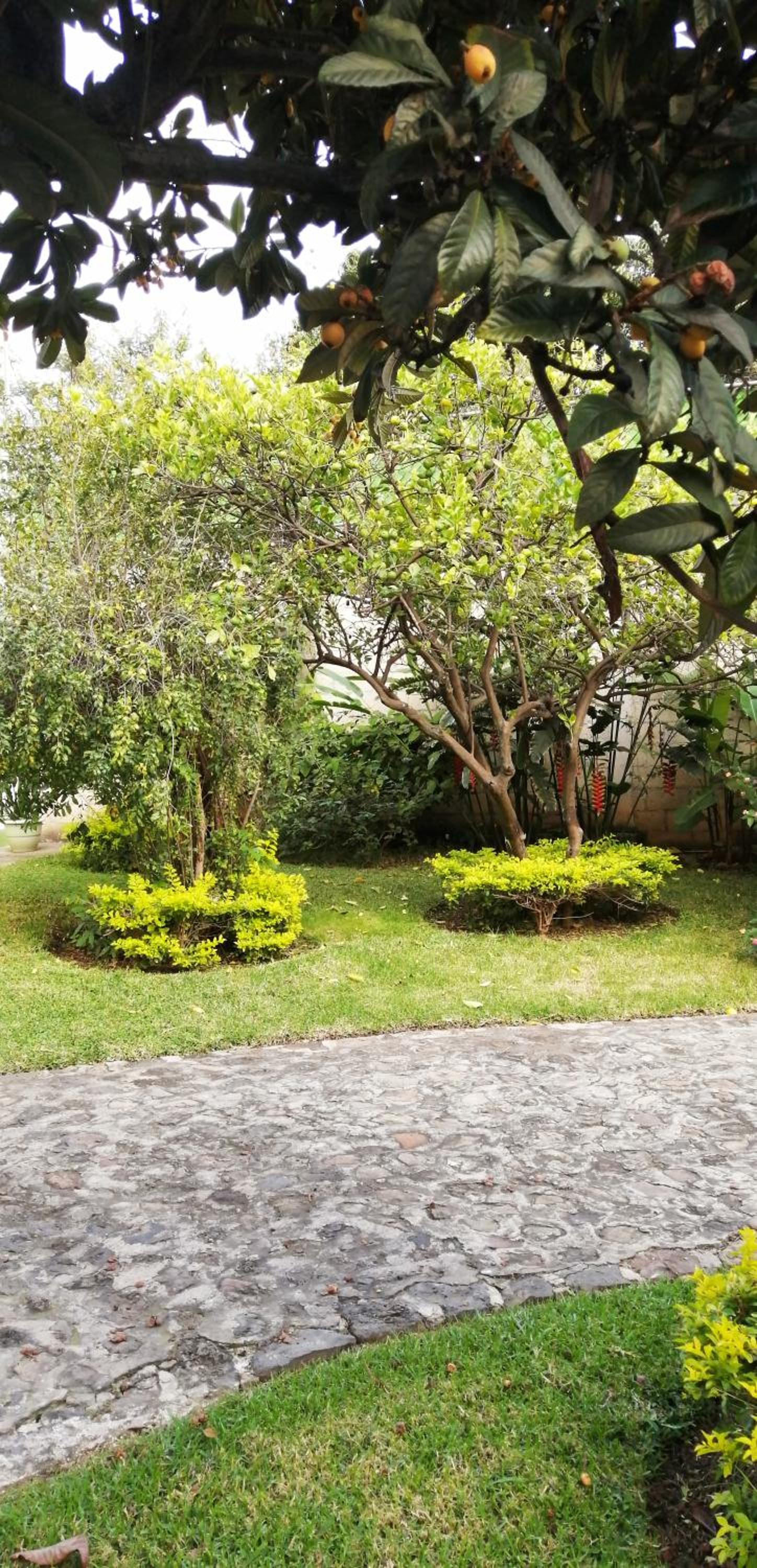Los Guachocotes