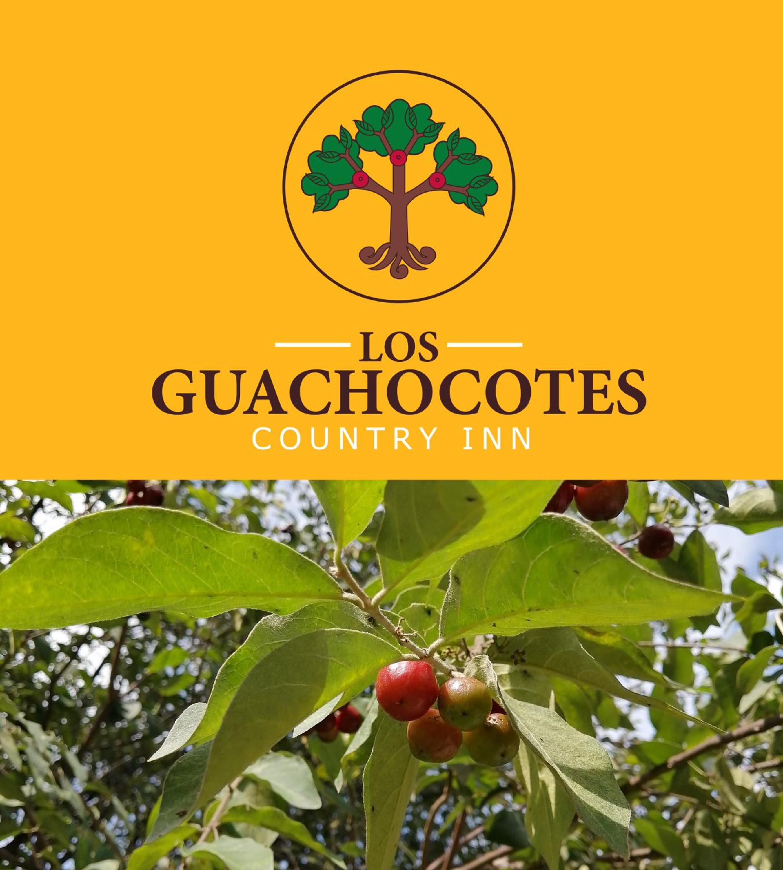 Los Guachocotes