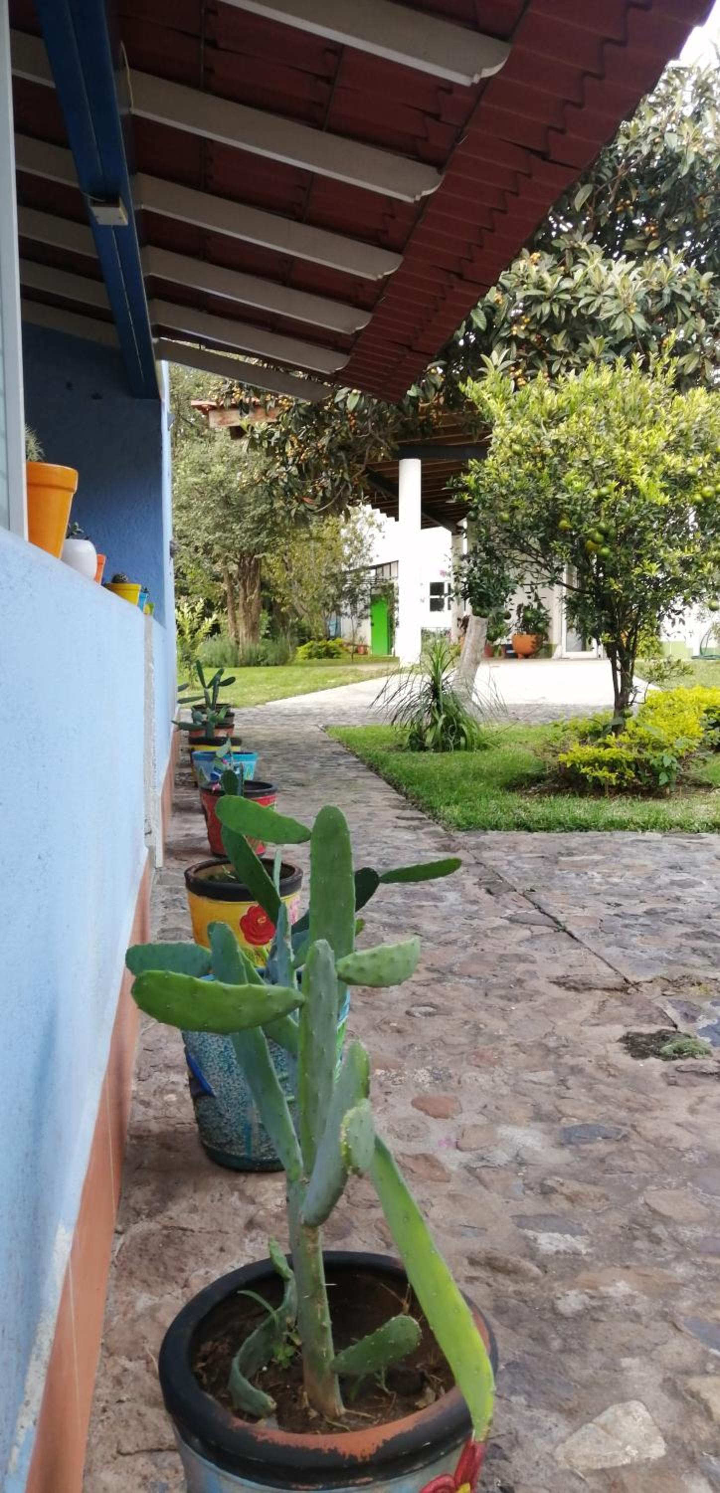 Los Guachocotes