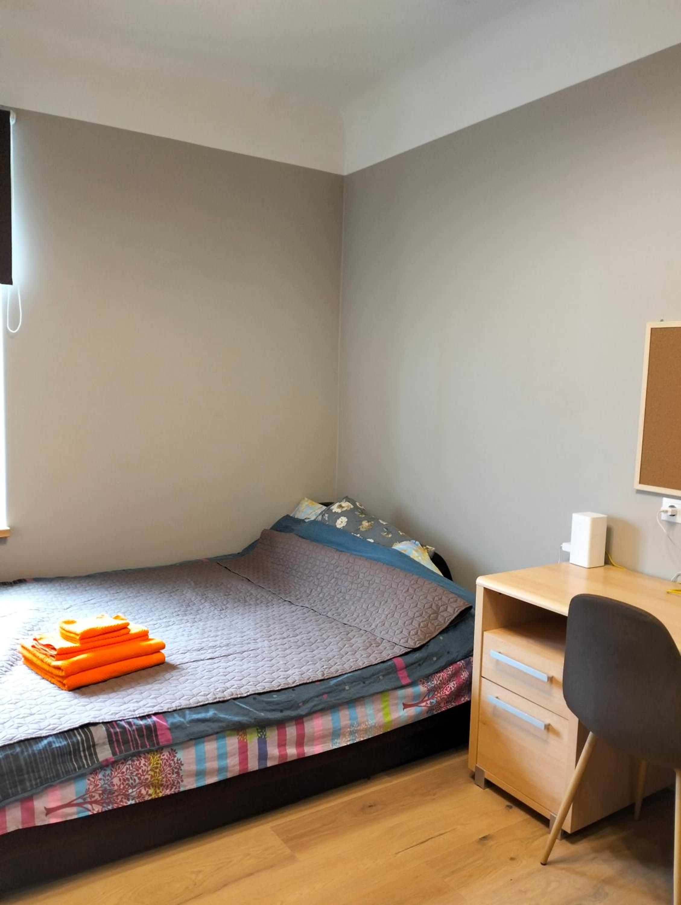 Ludviķa studio apartment view 2