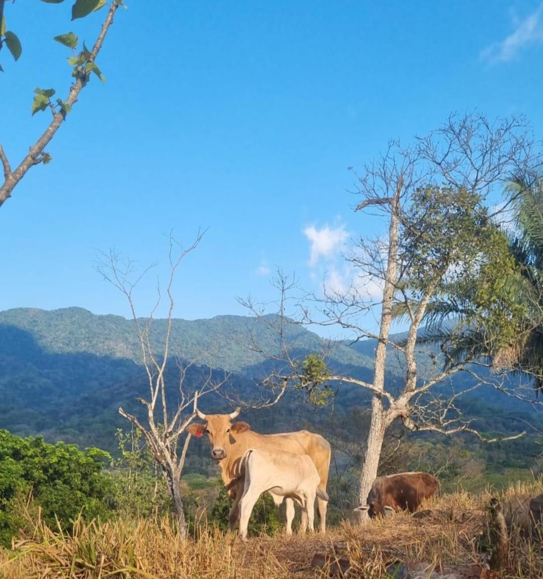 SL Montaña Tranquila