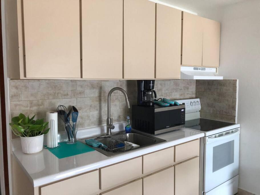 Sunny breeze 2 bed apt airport and beaches are close view 2