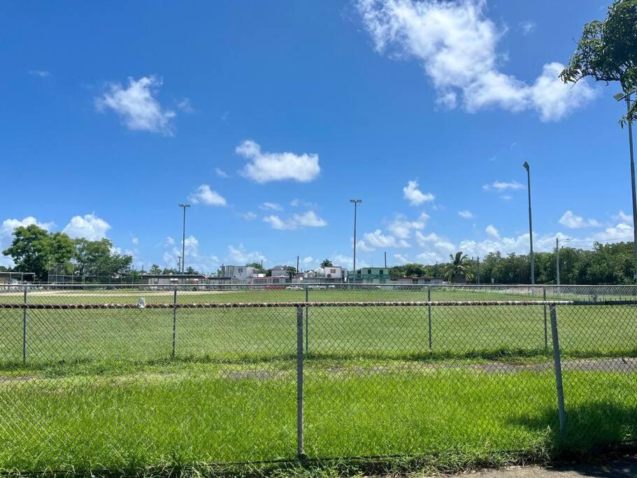 Photo 25