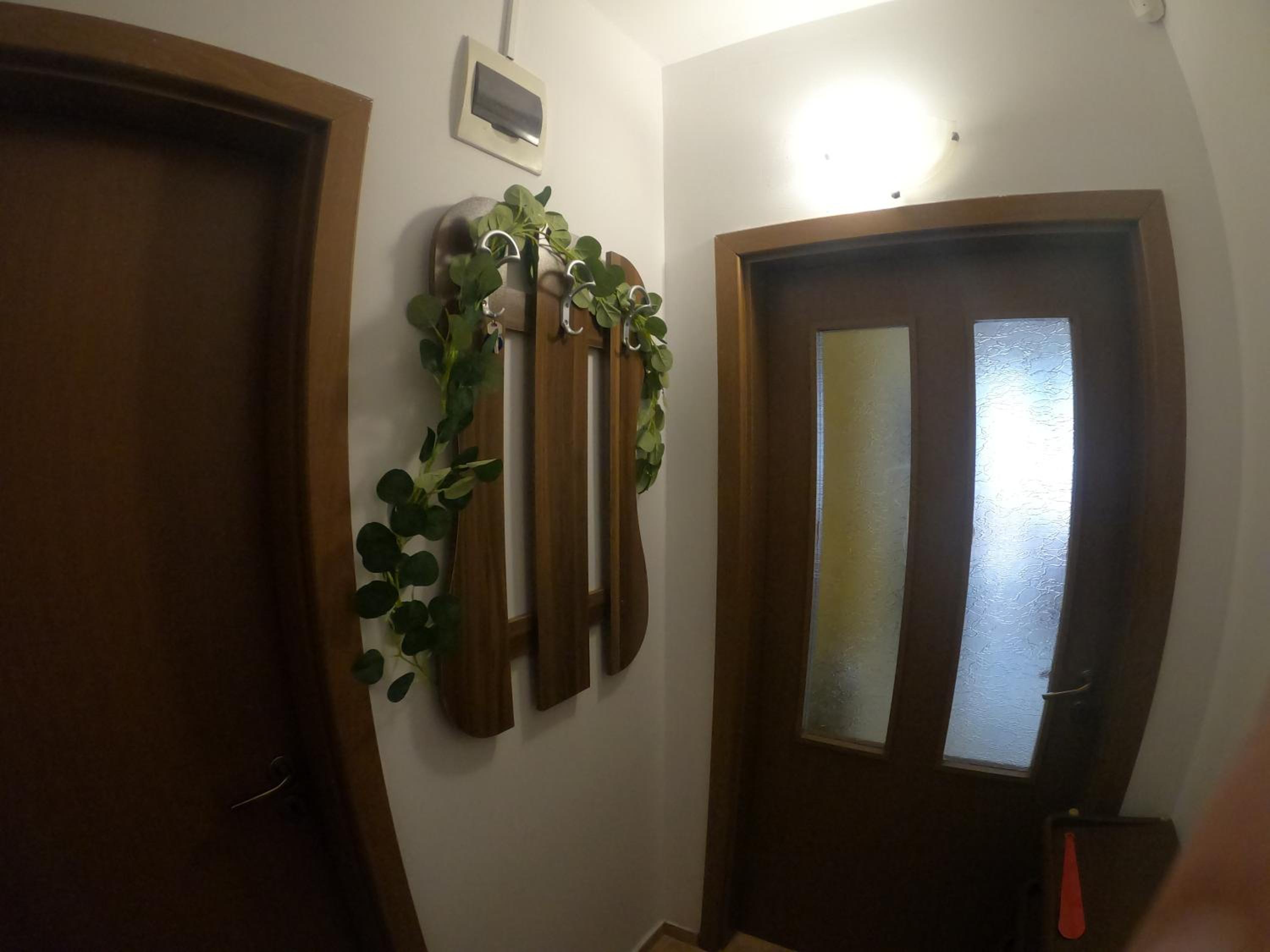 Aleksiev Sunny Day 1 Apartment
