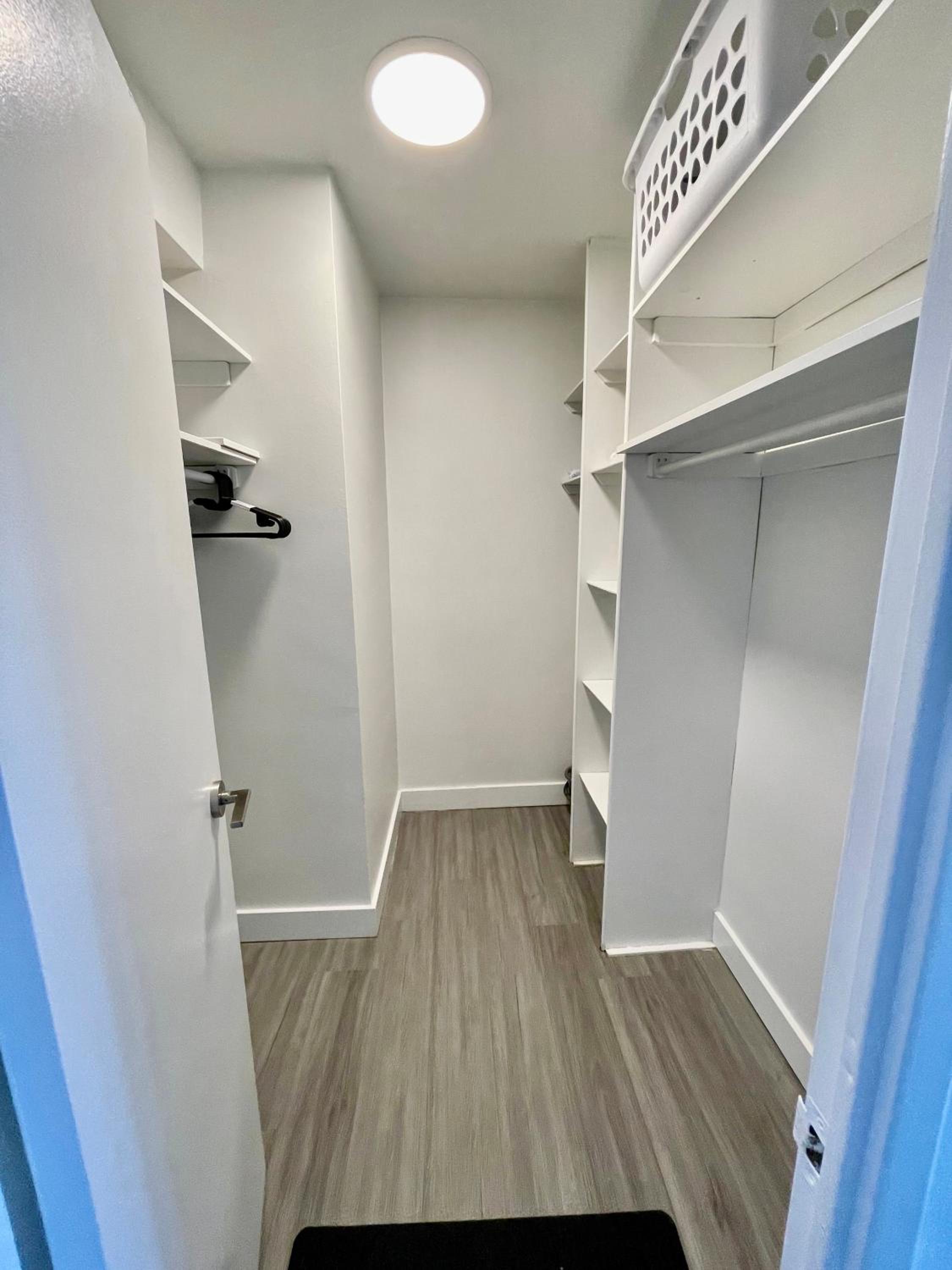 Toronto Bachelor Midtown