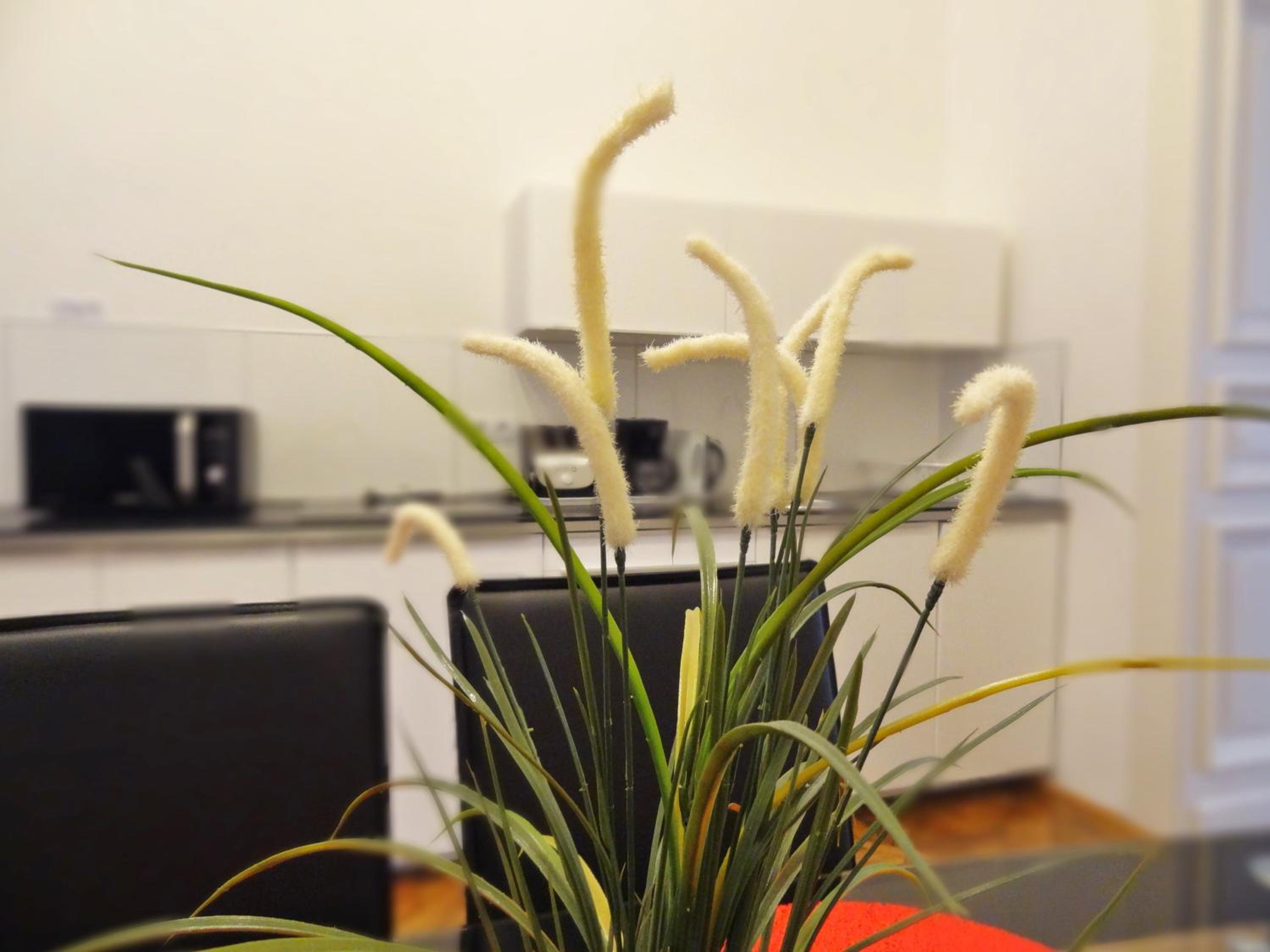 Erzsebet Boulevard Apartment