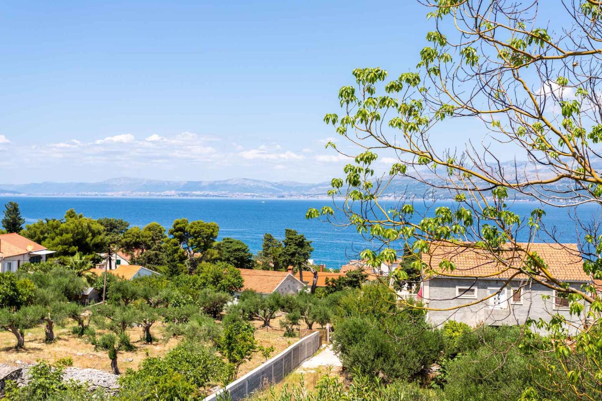 Apartments in Podstire - Insel Brac 42460 view 4