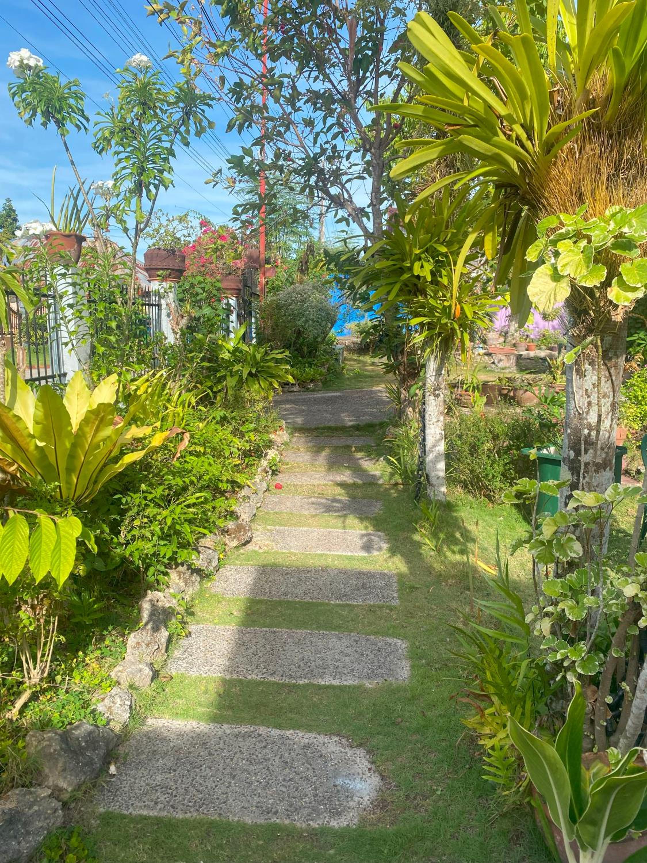 Villa 301 B&B