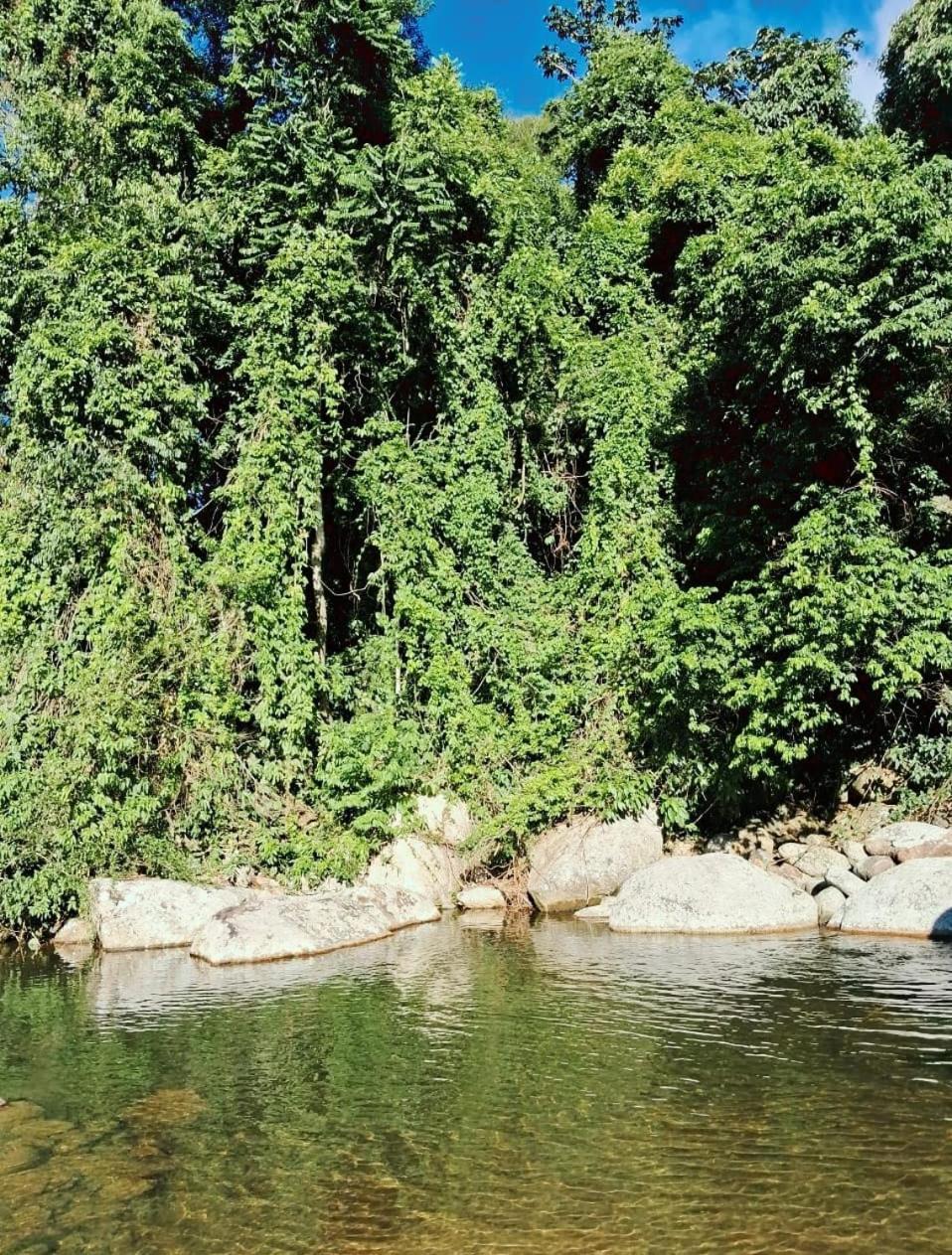 Retiro do paquetá