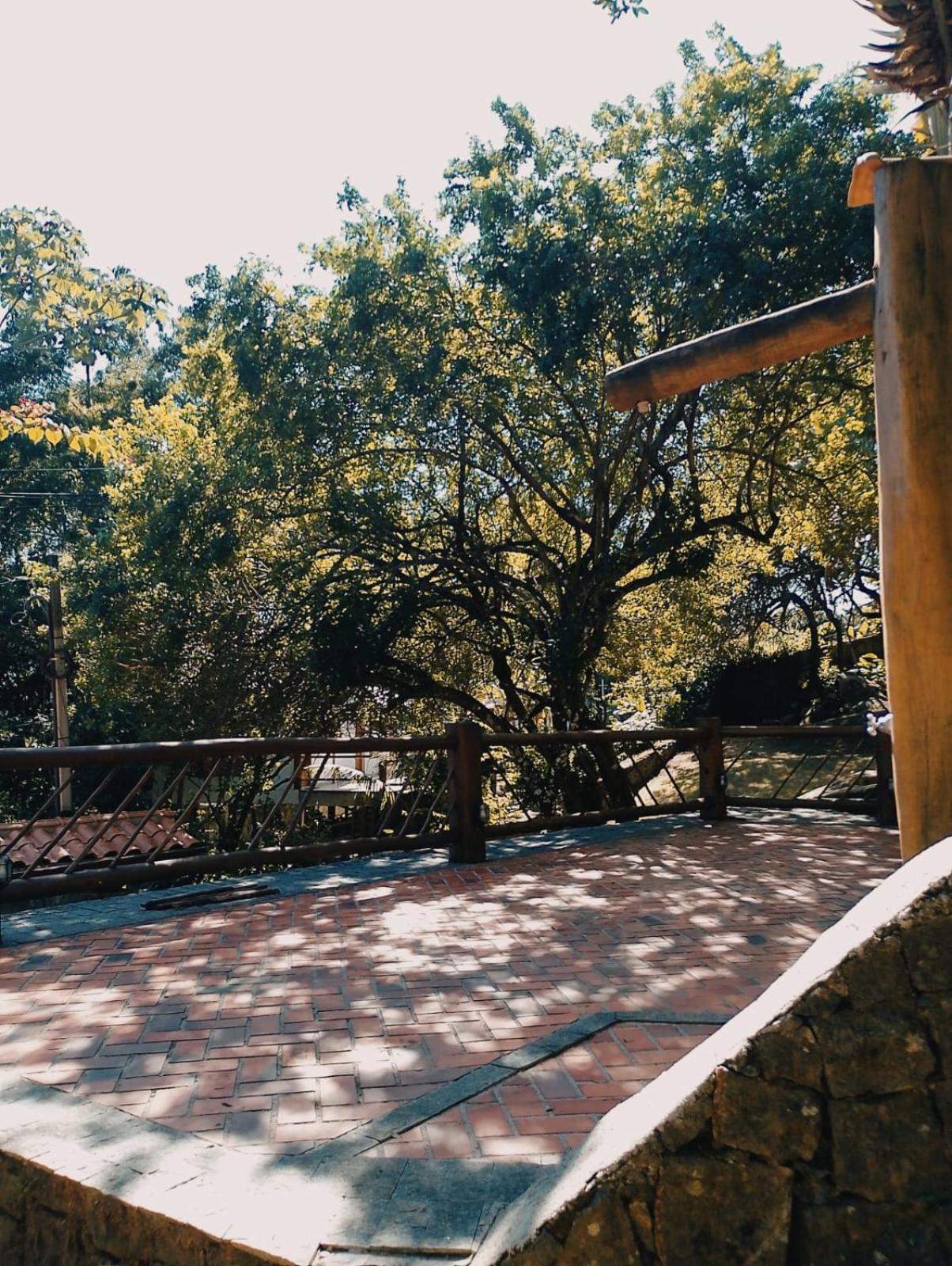 Retiro do paquetá