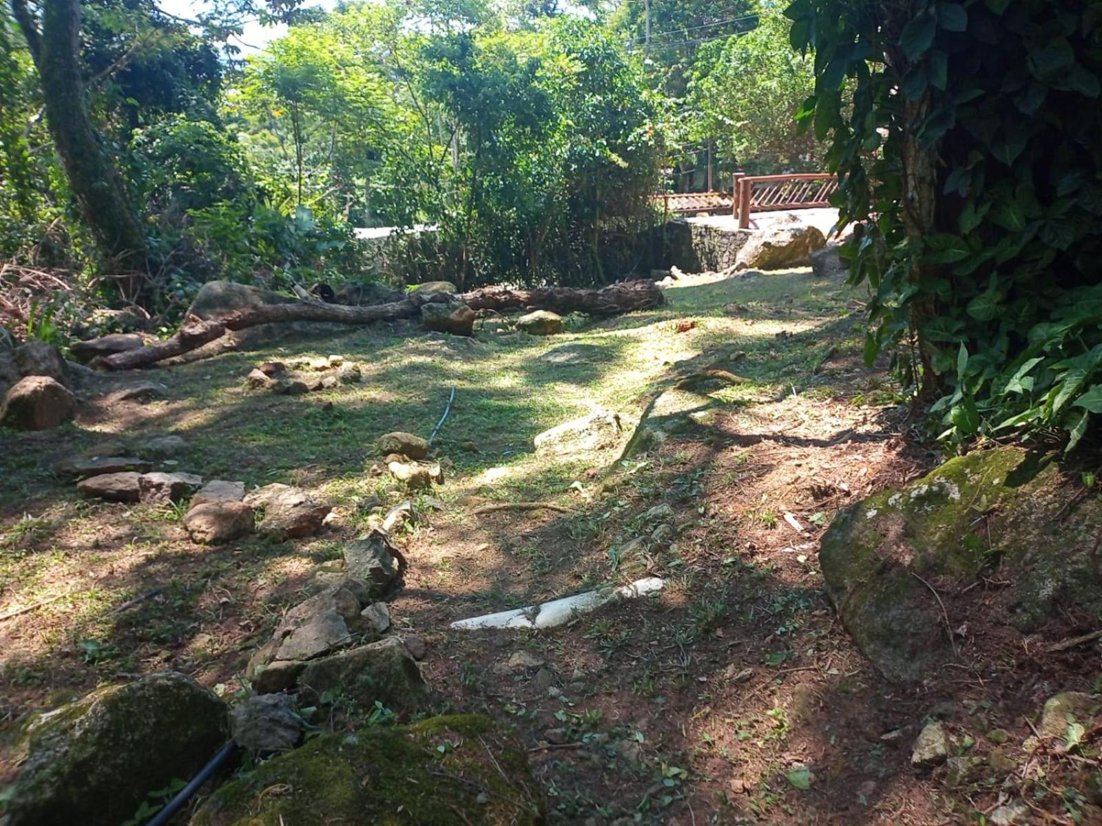 Retiro do paquetá