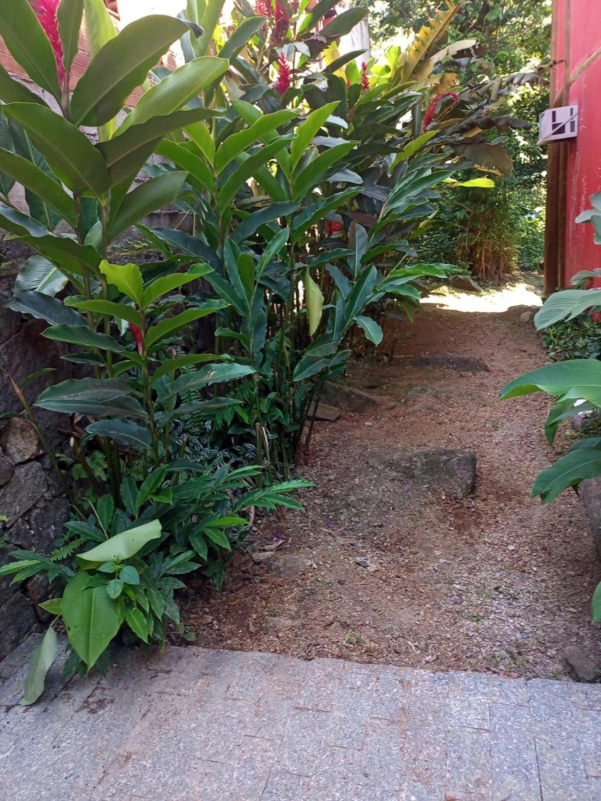 Retiro do paquetá