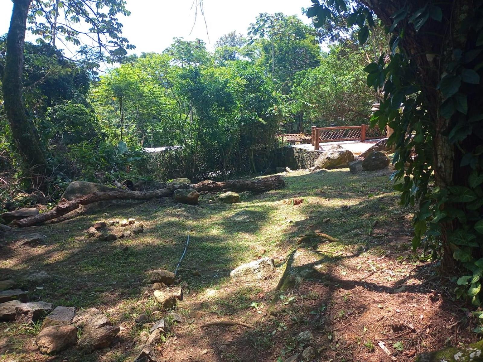 Retiro do paquetá