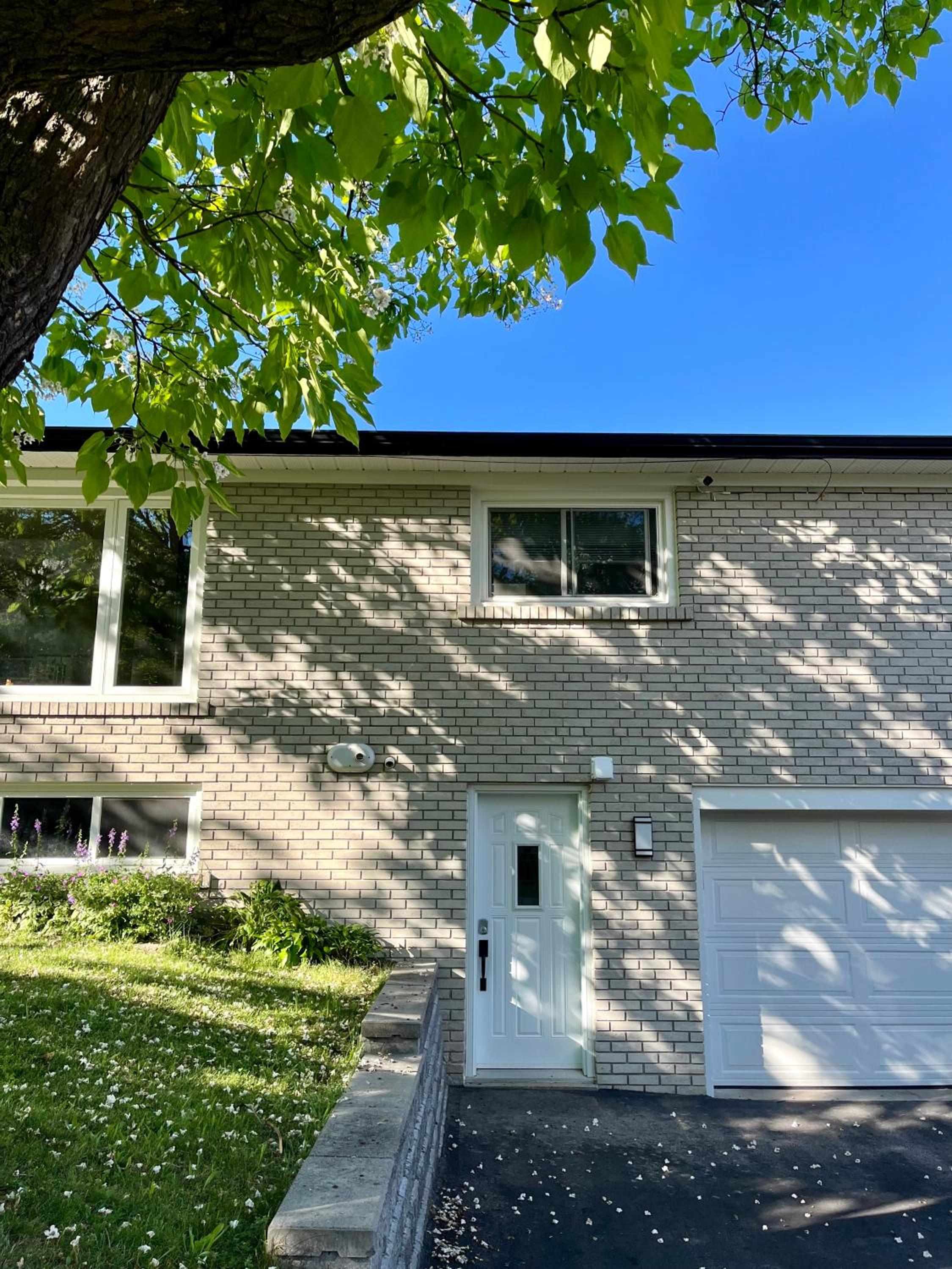 Entire Basement Apartment in Mississauga, Etobicoke